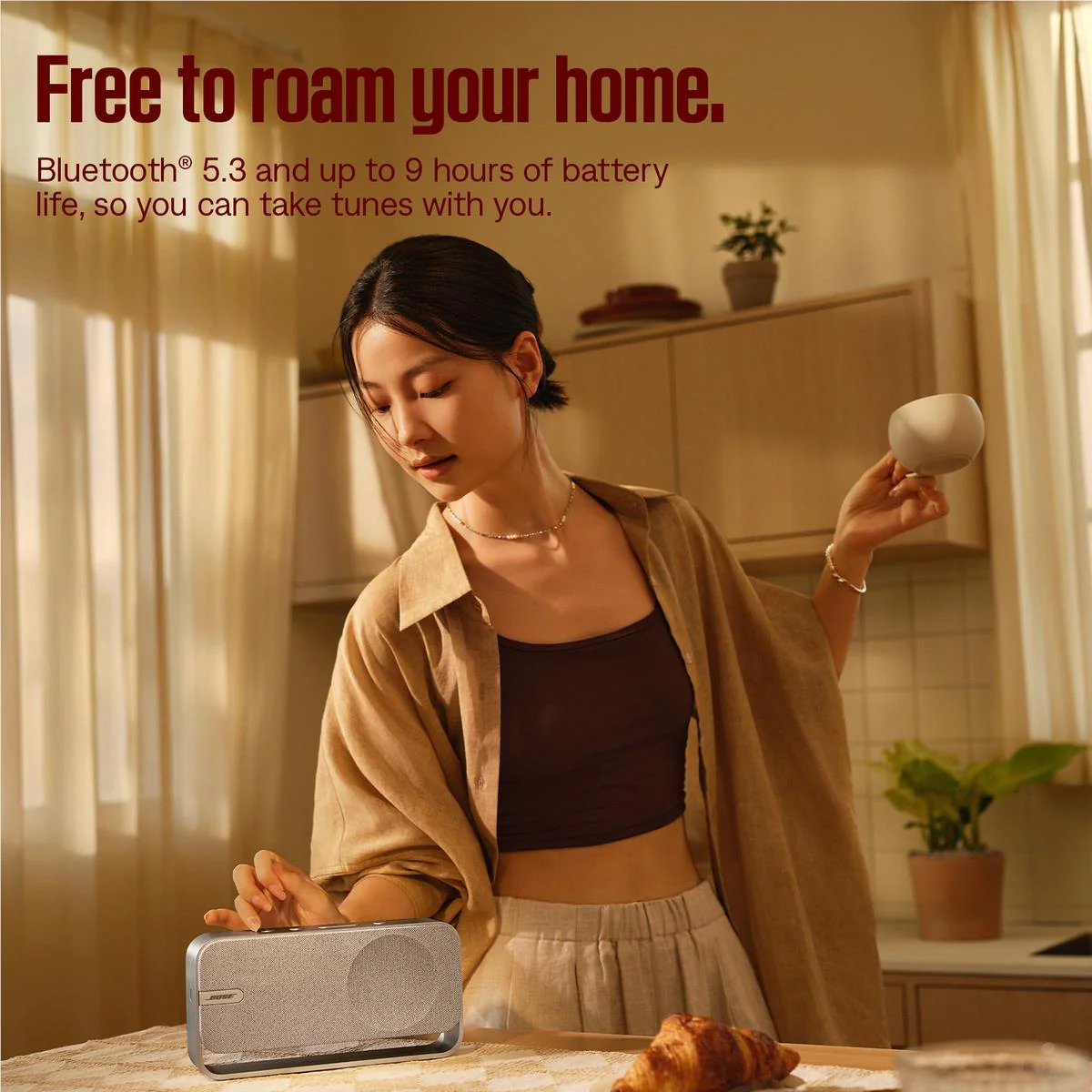Bose SoundLink Home Bluetooth Speaker (Light Silver) - Image 2