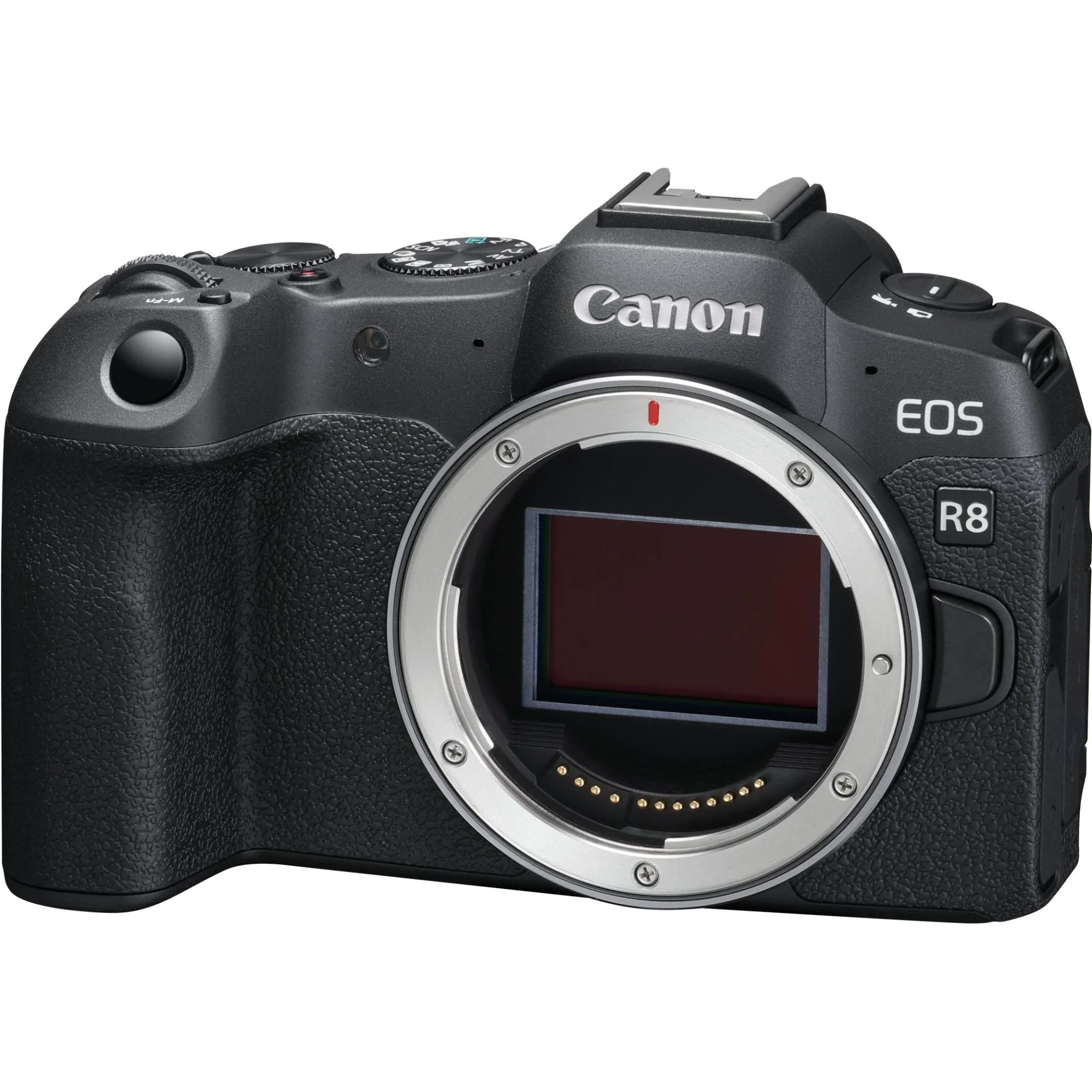 Canon EOS R8 Mirrorless Camera [Body Only] - Image 2