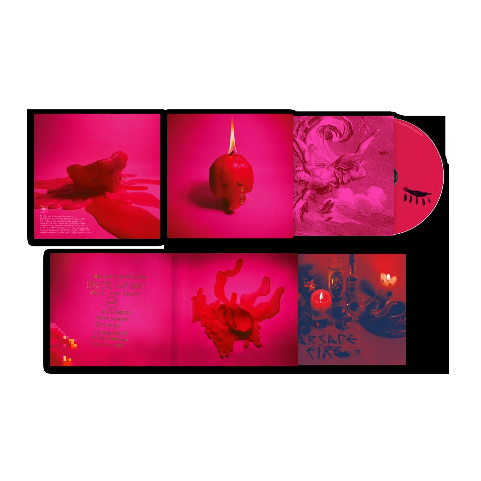 Pink Elephant - Image 3