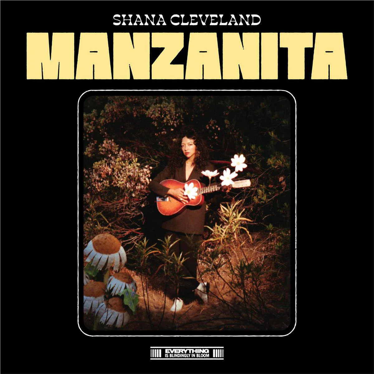 Manzanita - Image 2
