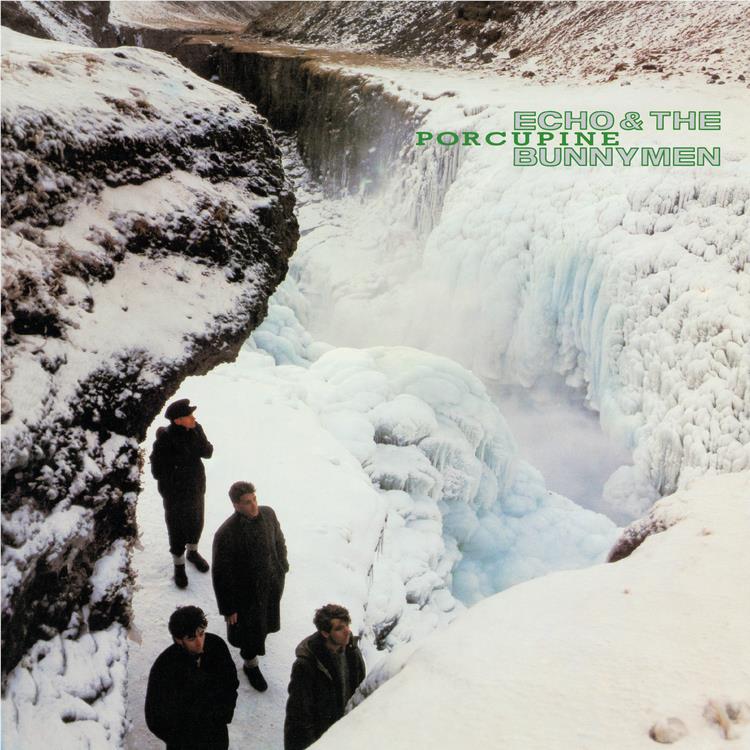 Porcupine (2025 Reissue)