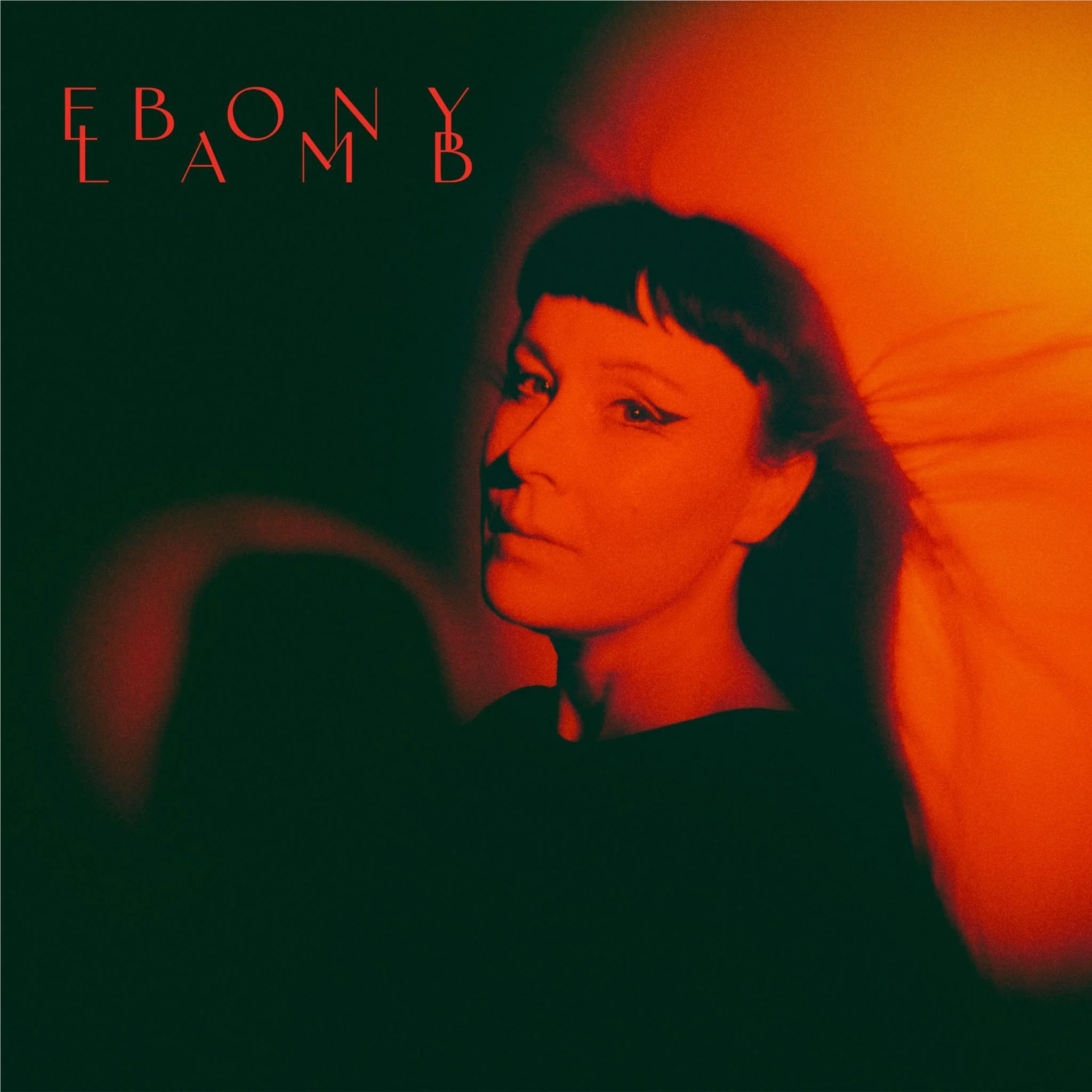 Ebony Lamb - Image 2