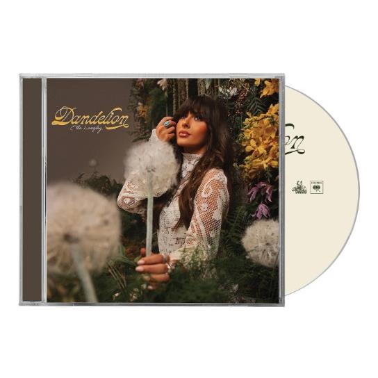 Dandelion - Image 2