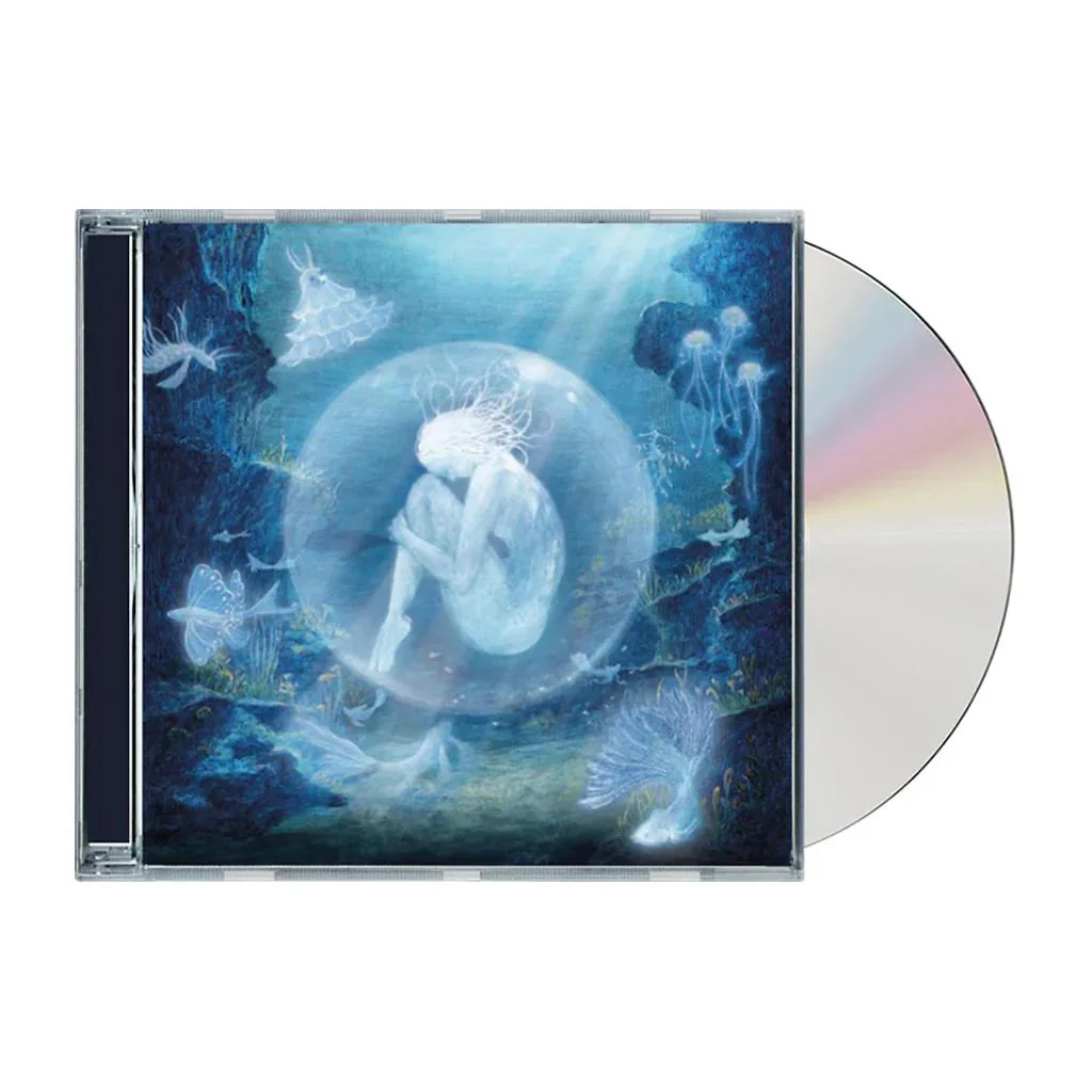 Oyster - Image 2
