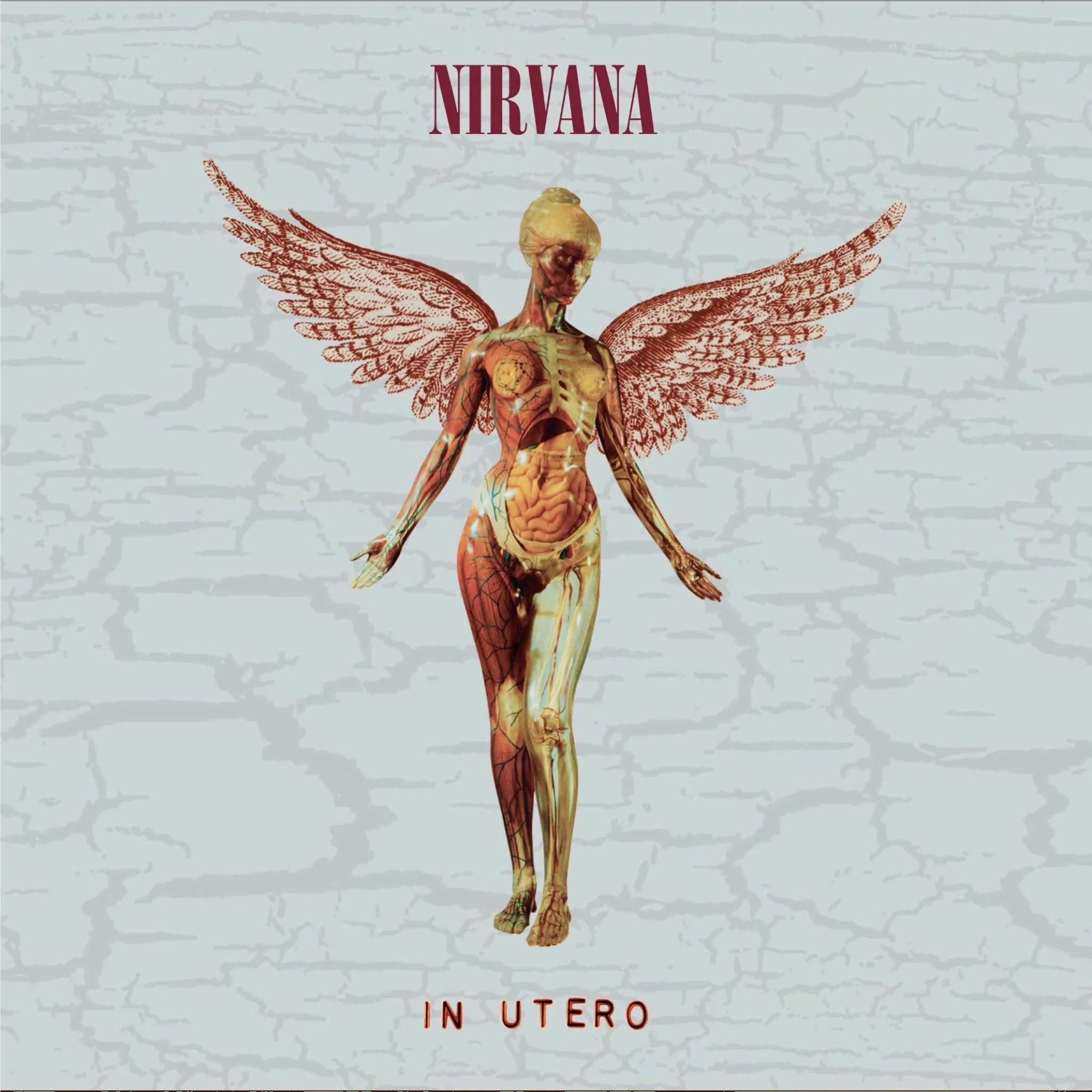 In Utero: 30th Anniversary Edition (Deluxe Edition) - Image 2