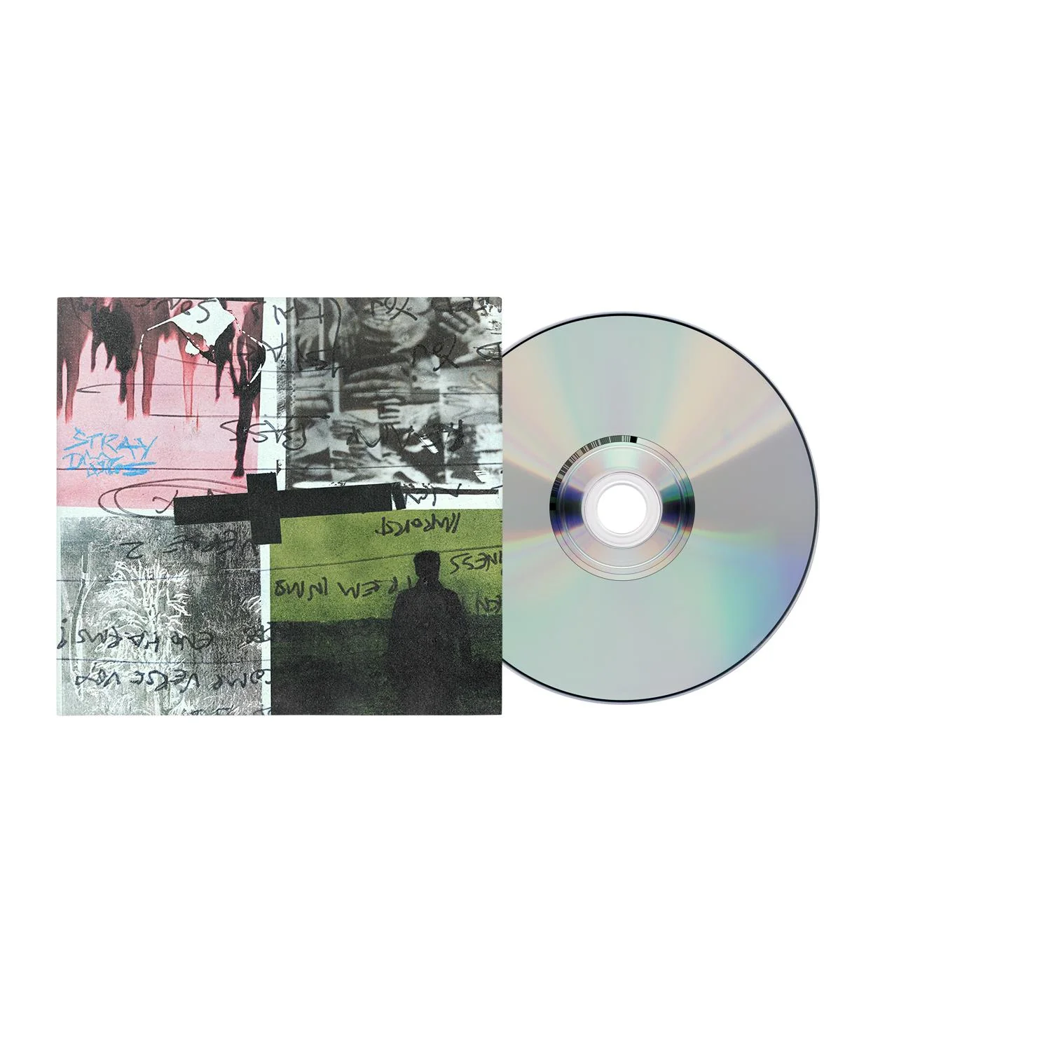 Stray Dogs - Image 2