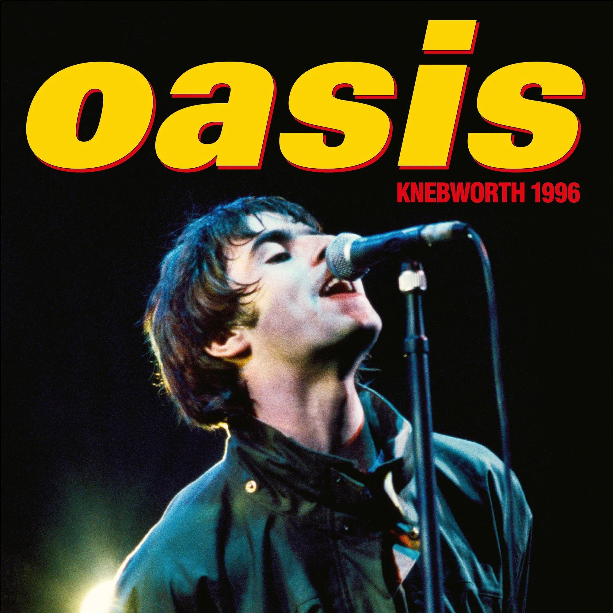 Knebworth 1996 - Image 2