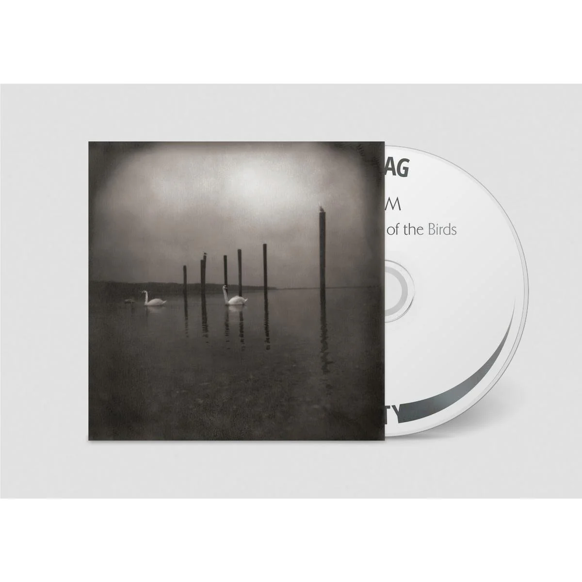 Conference of the Birds (2026 Reissue) - Image 2