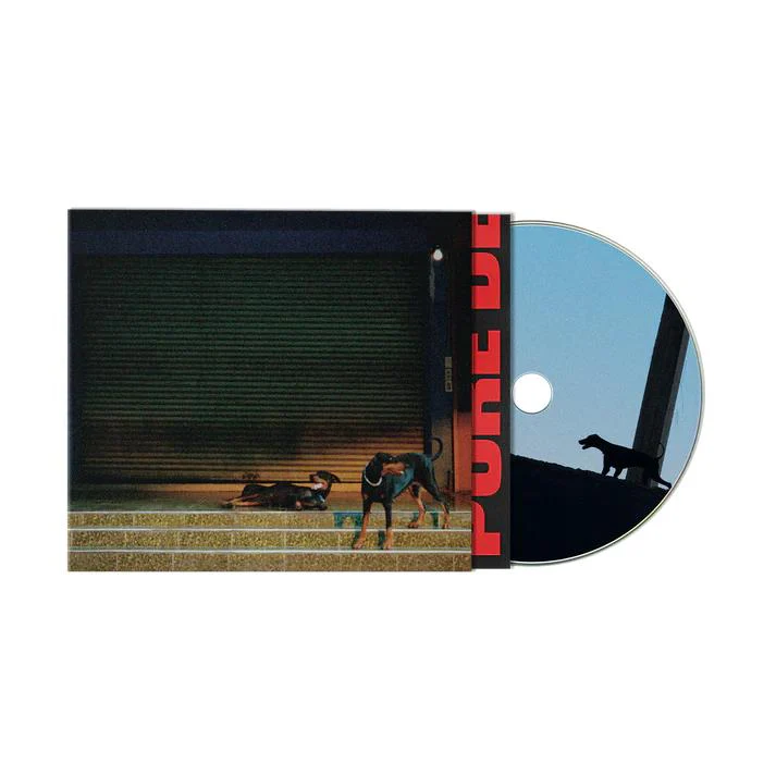 Pure Devotion - Image 2