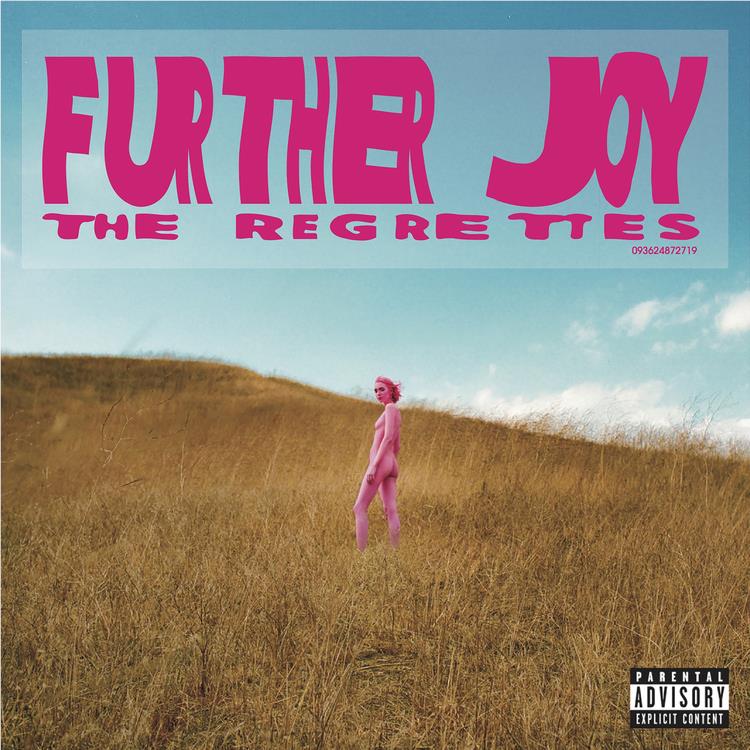 Further Joy - Image 2