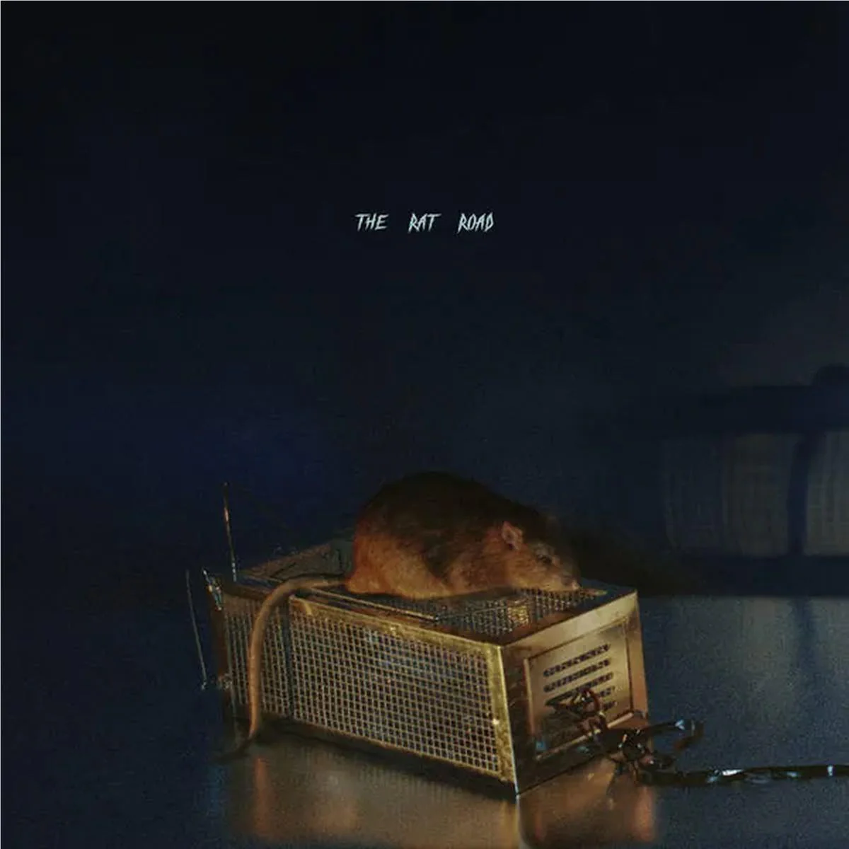 Rat Road, The