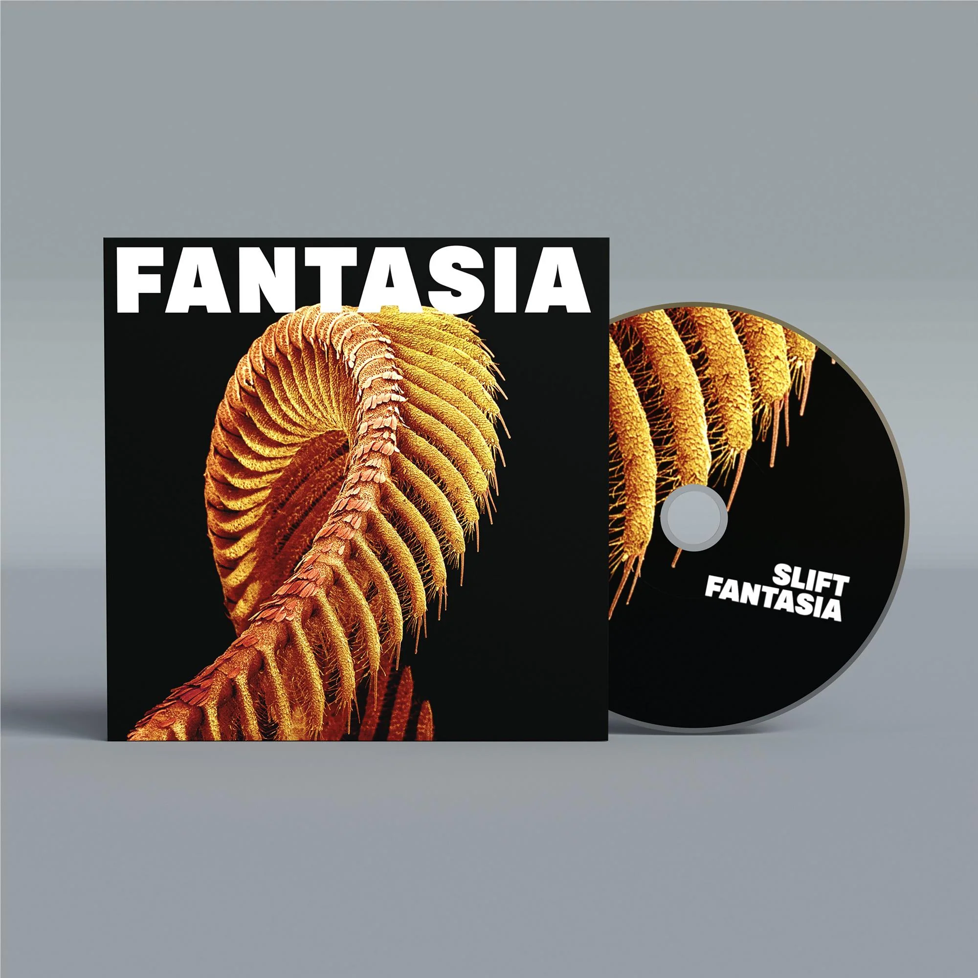 Fantasia - Image 2