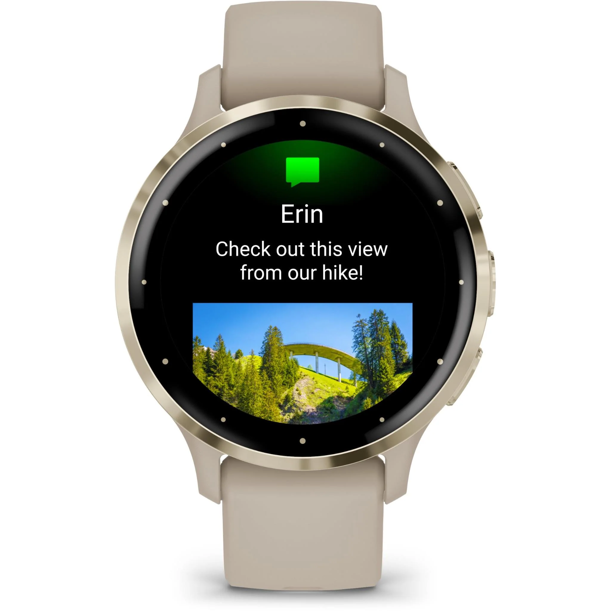 Garmin Venu 3S Sports Watch (French Grey/Soft Gold) - Image 4