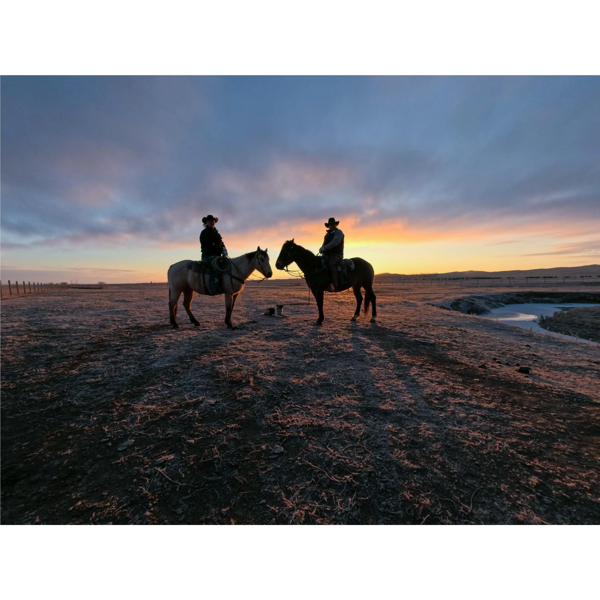 GoPro Mission 1 Pro 8K Compact Cinema Camera - Image 7