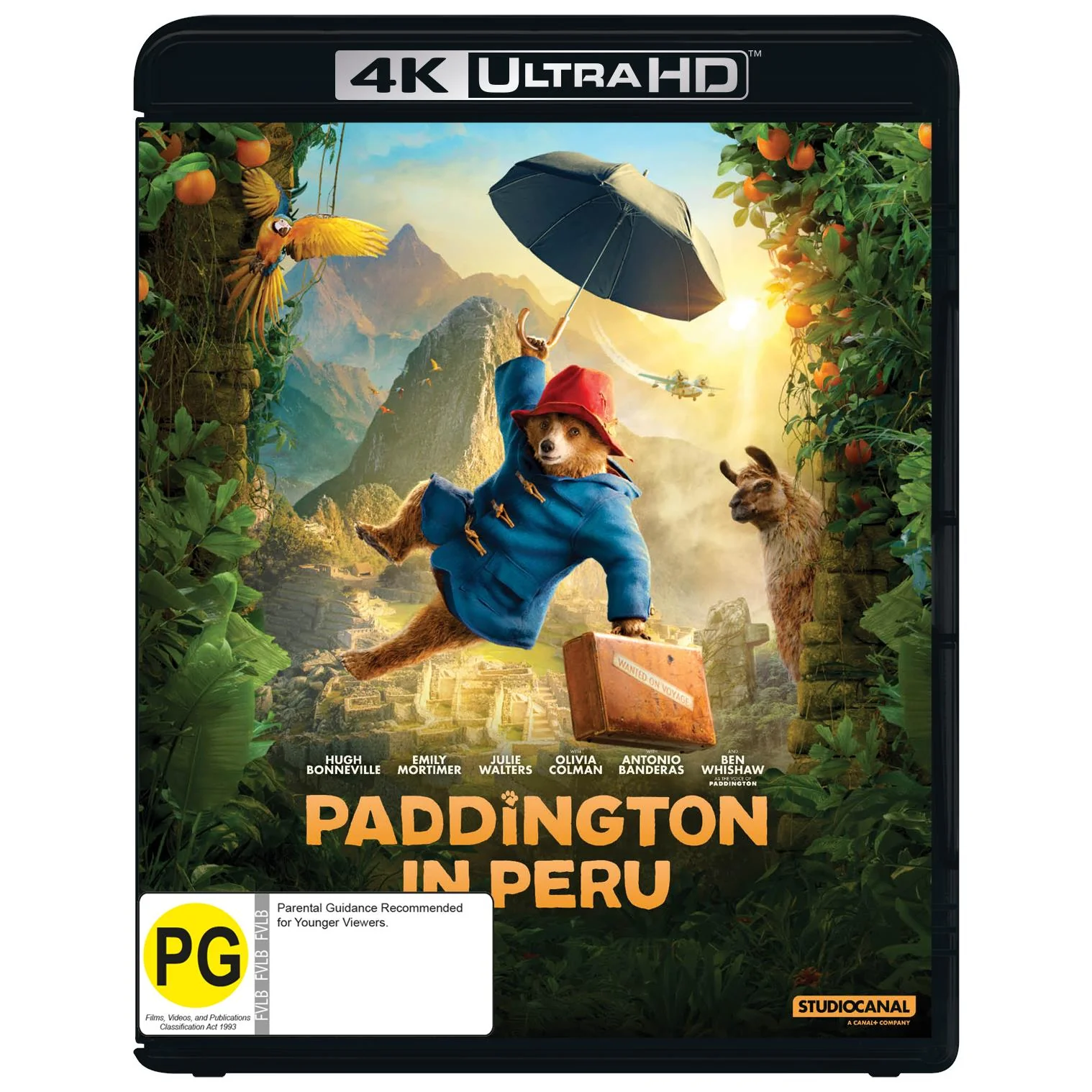 Paddington In Peru