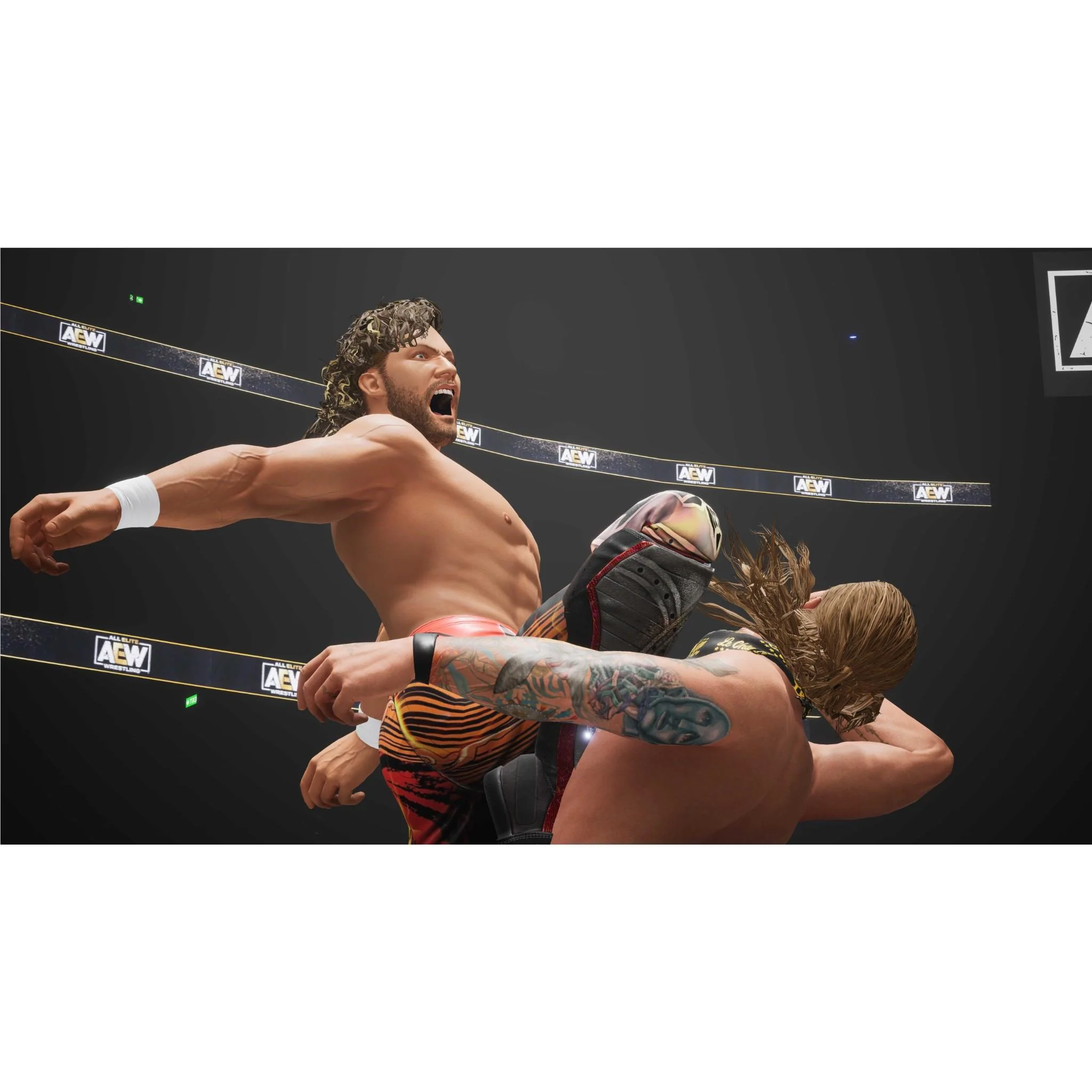 AEW: Fight Forever - Image 3