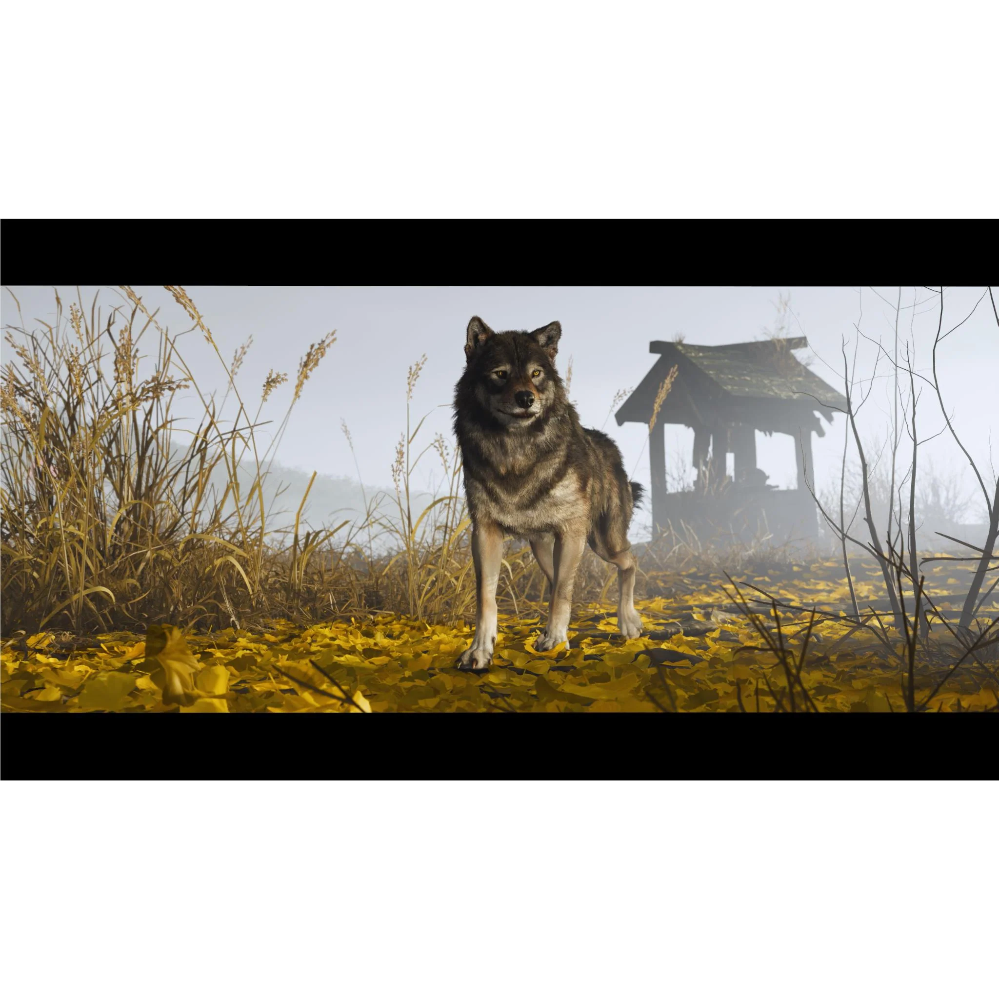 Ghost of Yotei - Image 14