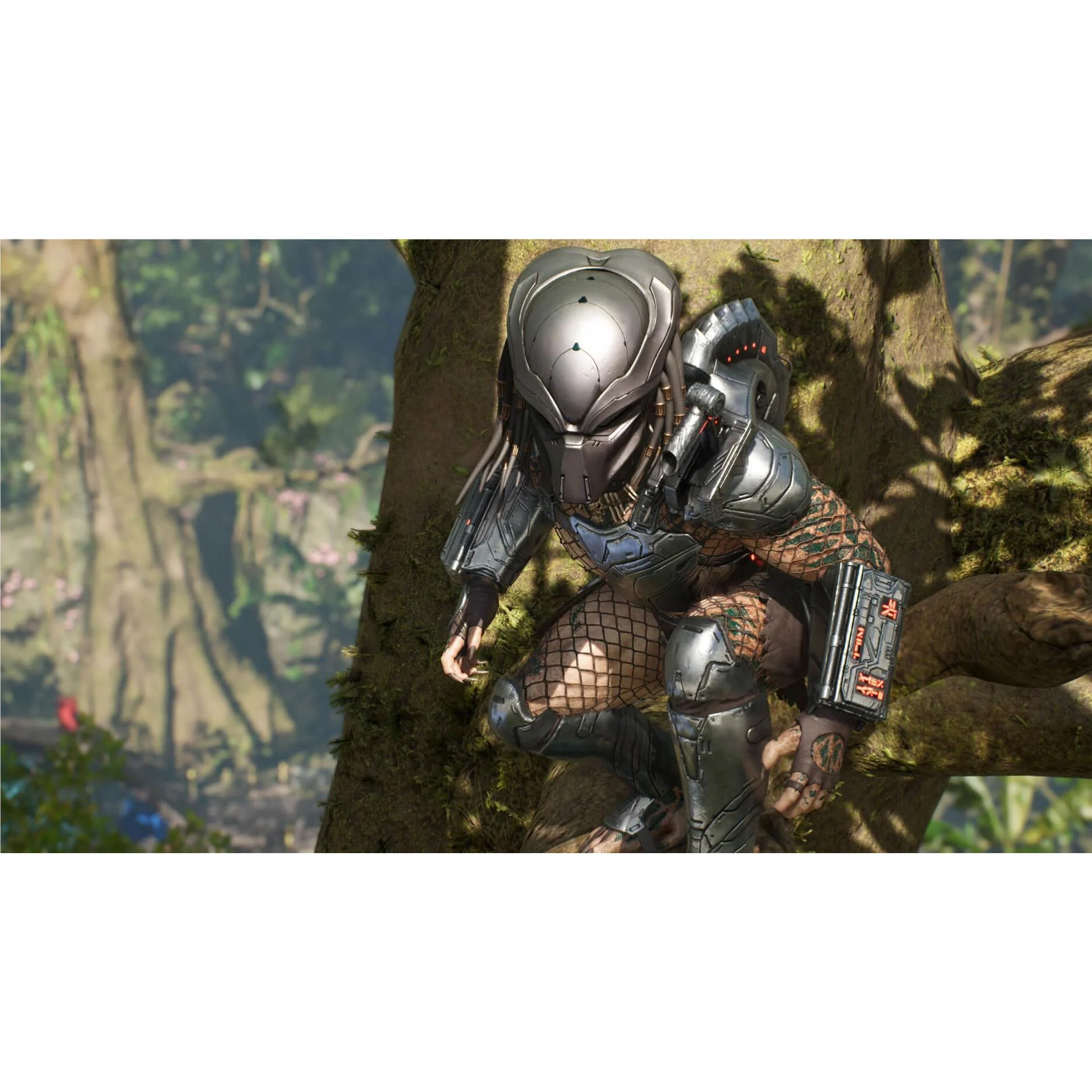 Predator: Hunting Grounds - Image 8