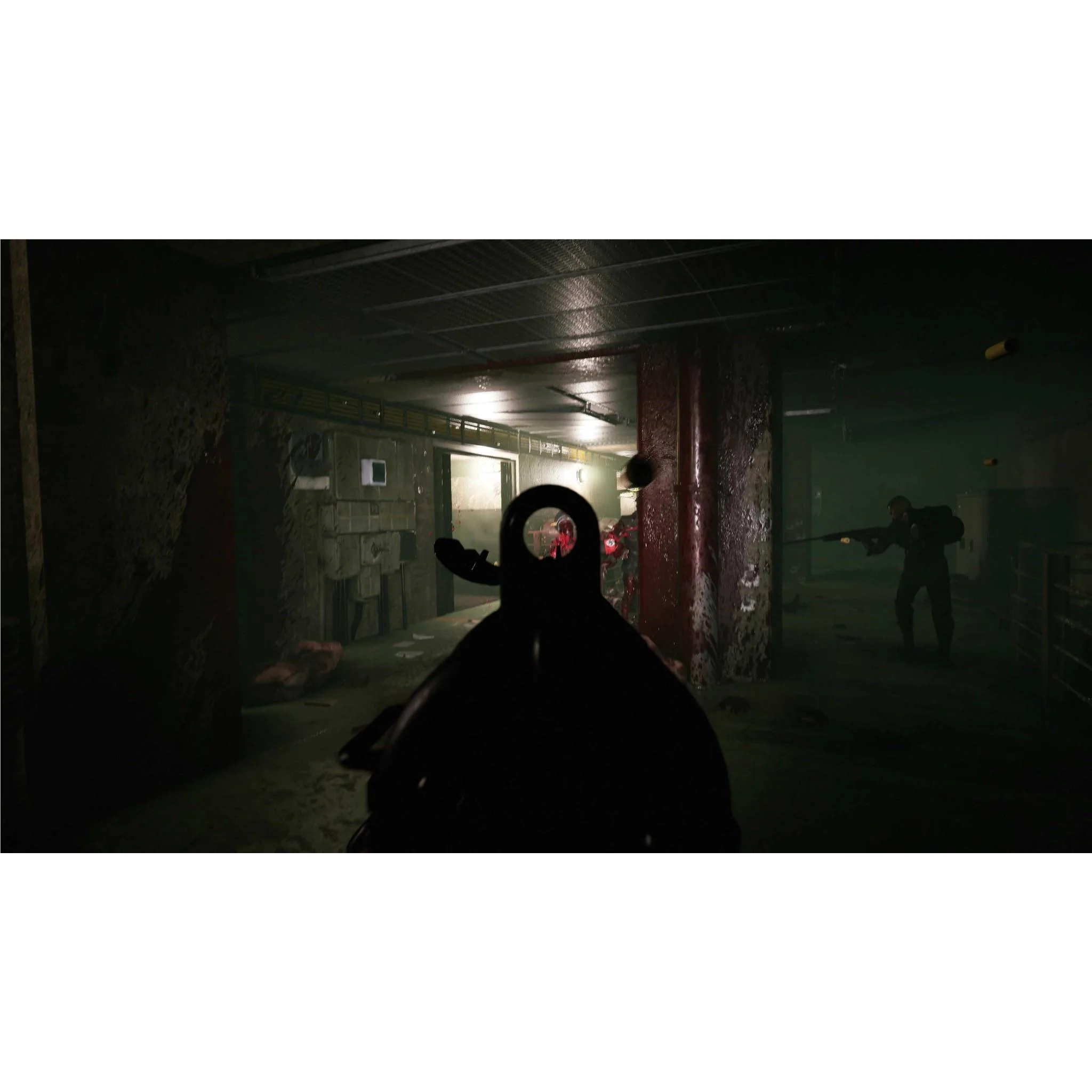 Project Z: Beyond Order - Image 5