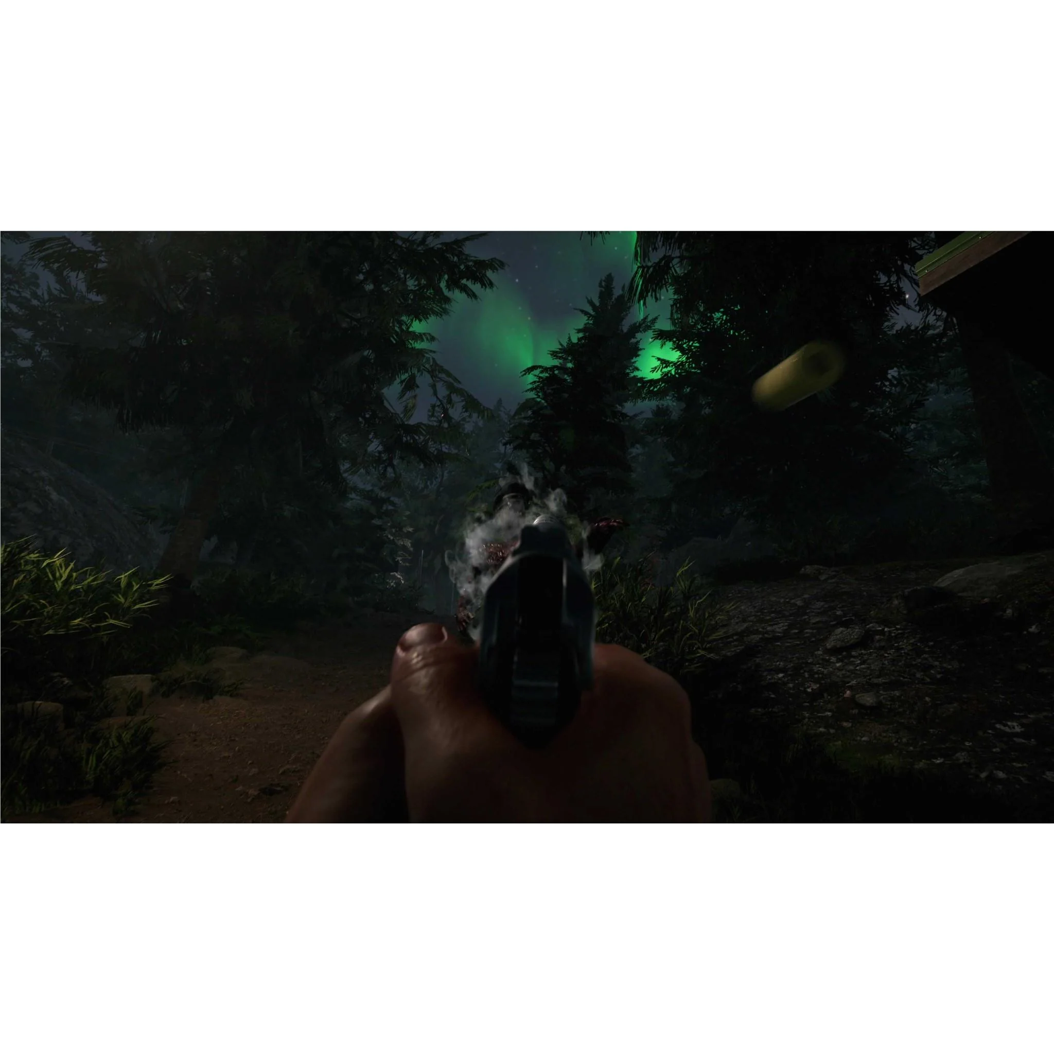 Project Z: Beyond Order - Image 6