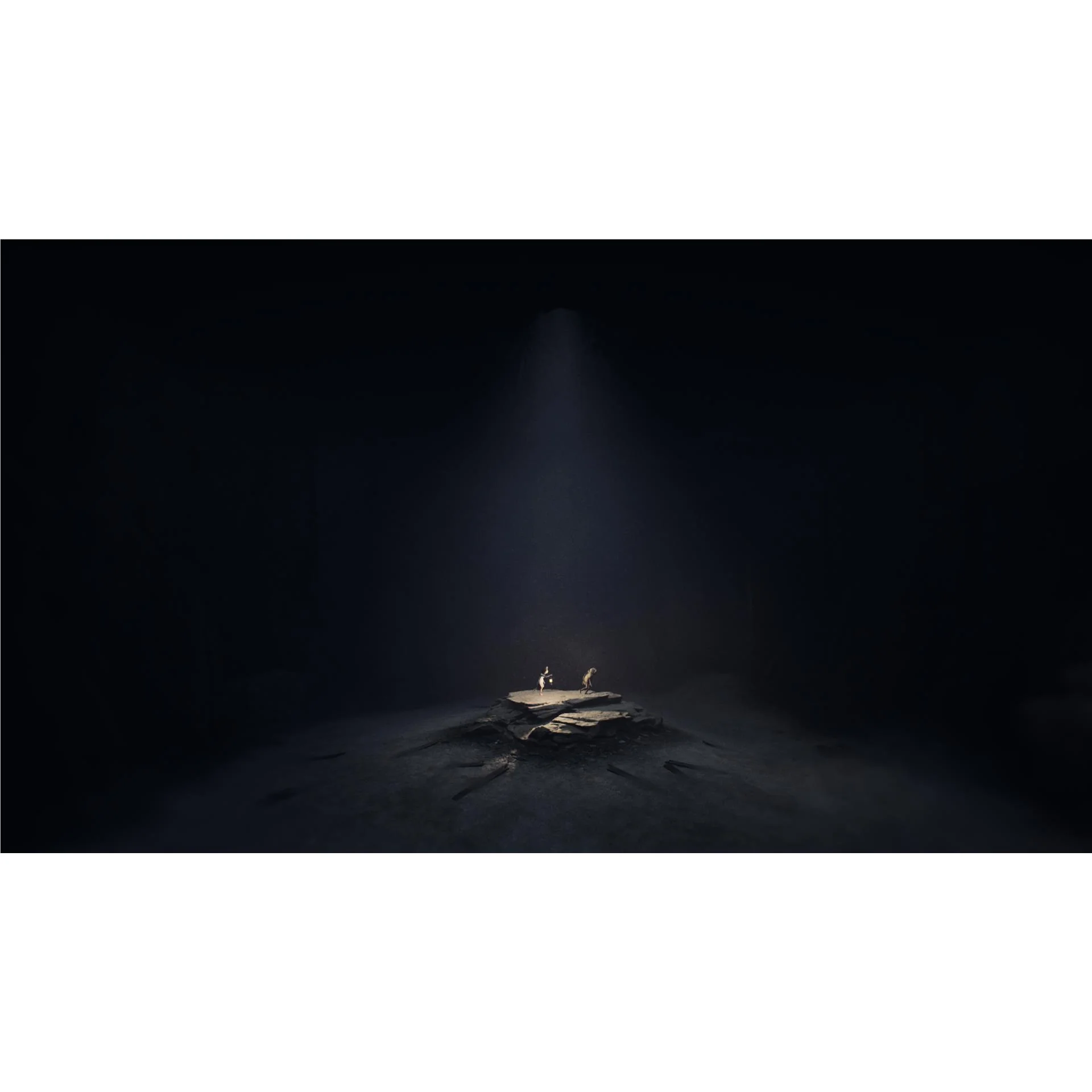 REANIMAL - Image 5
