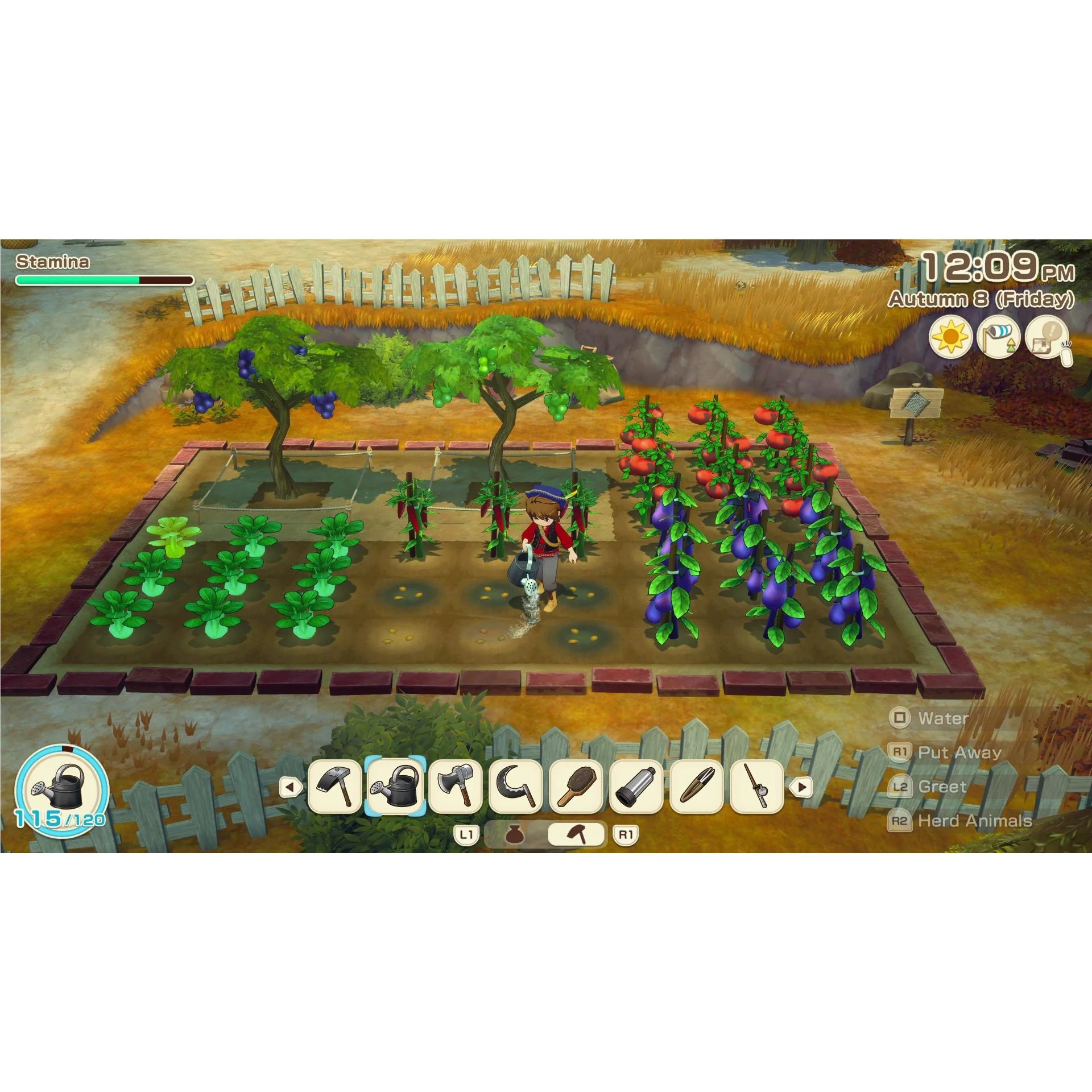 Story of Seasons: Grand Bazaar - Image 3