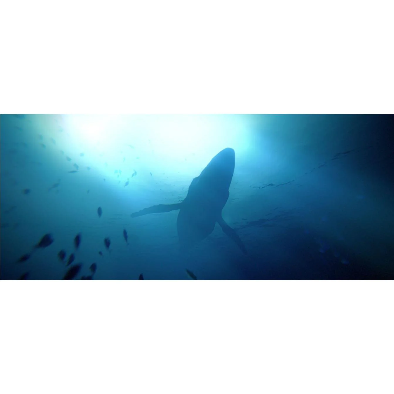 Under The Waves - Image 5