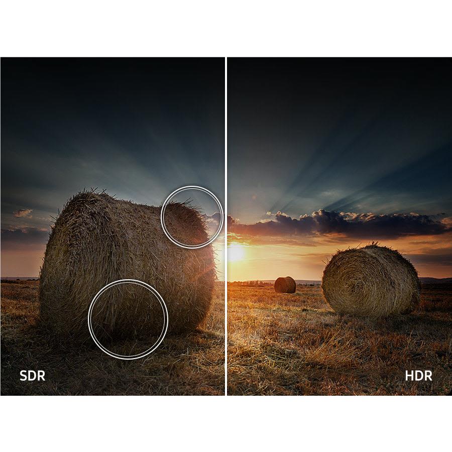 Samsung 75" Q7F QLED 4K Smart TV [2025] - Image 8