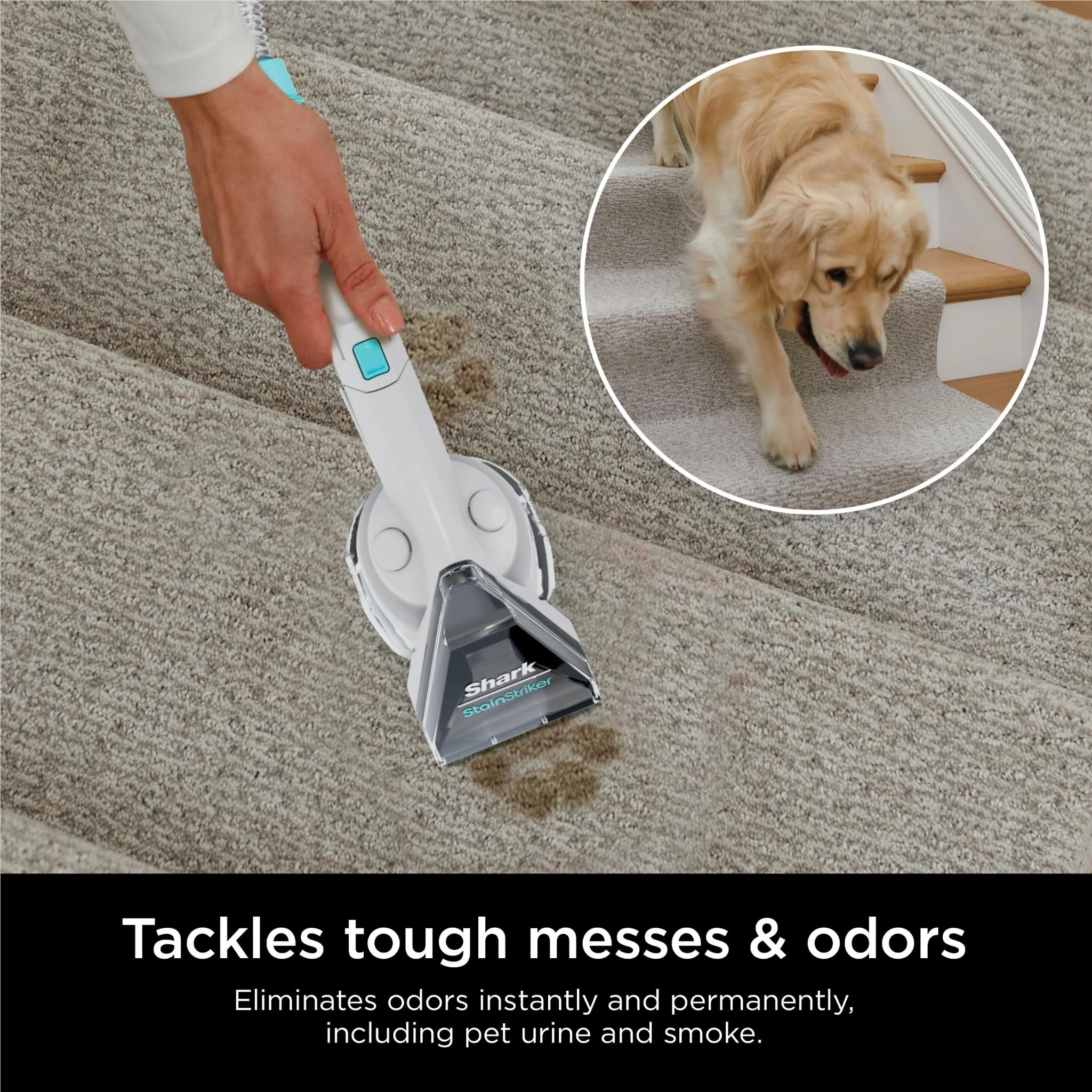 Shark CarpetXpert Deep Clean Pro Formula (1.4L) - Image 10
