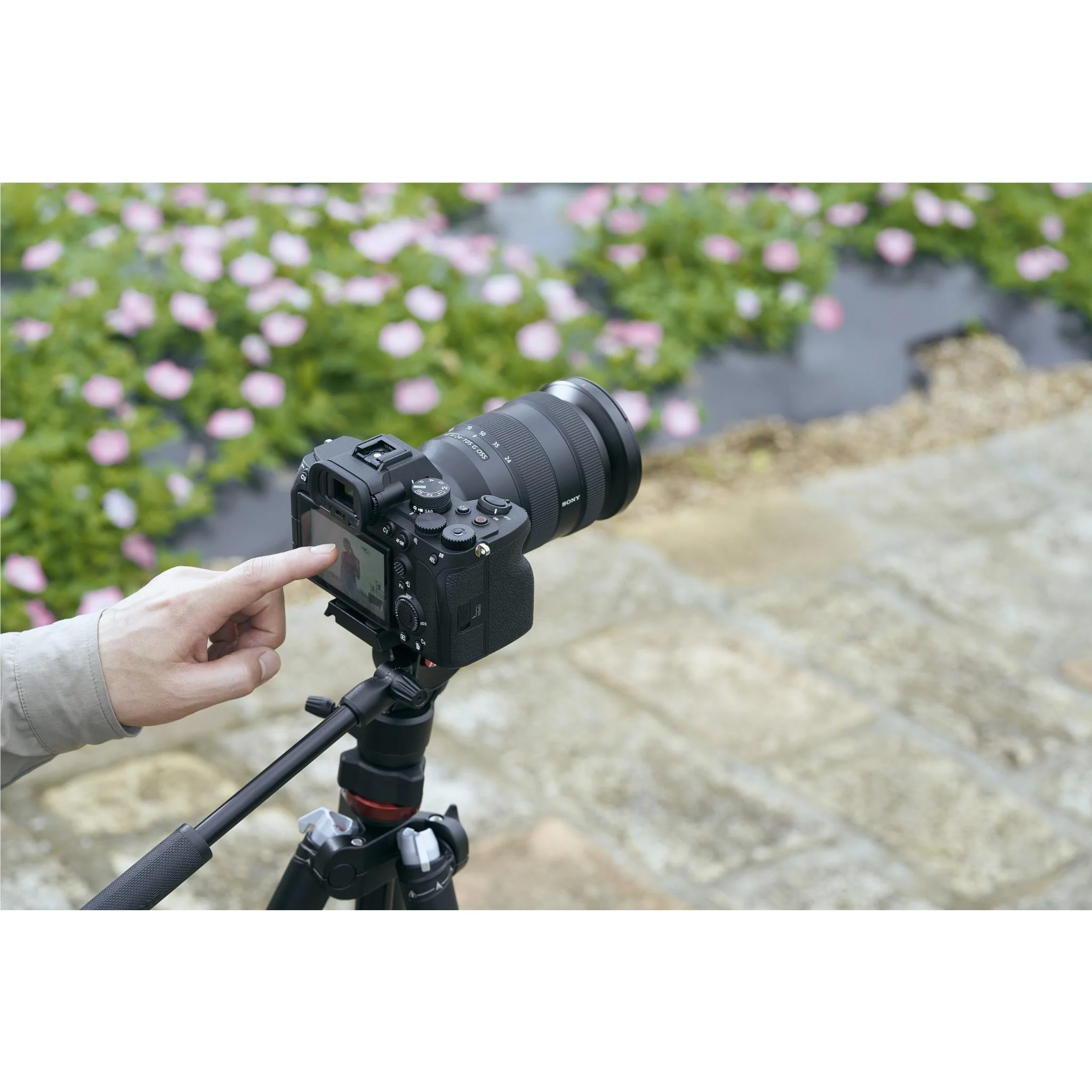 Sony Alpha A7 IV Full Frame Mirrorless Camera [4K Video] (Body Only) - Image 11