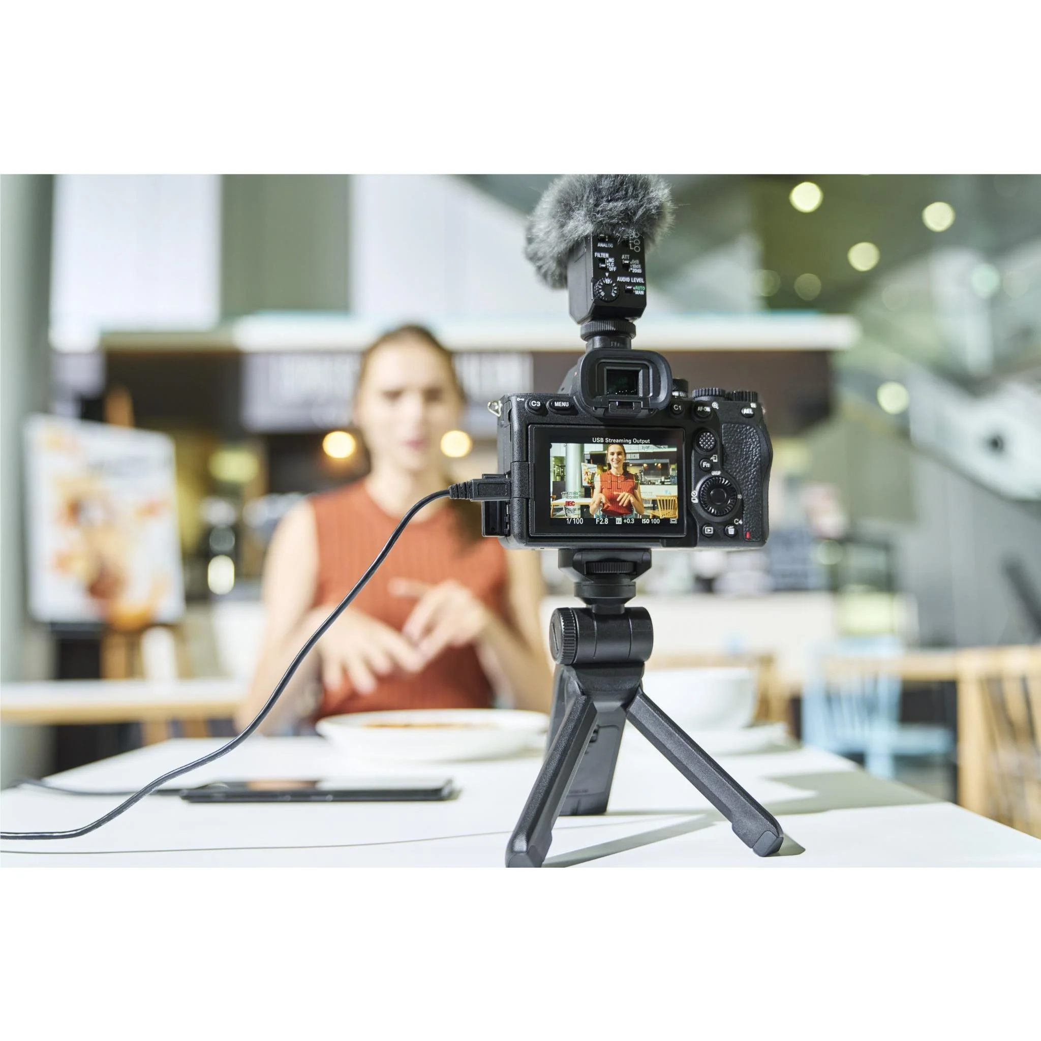Sony Alpha A7 IV Full Frame Mirrorless Camera [4K Video] (Body Only) - Image 8