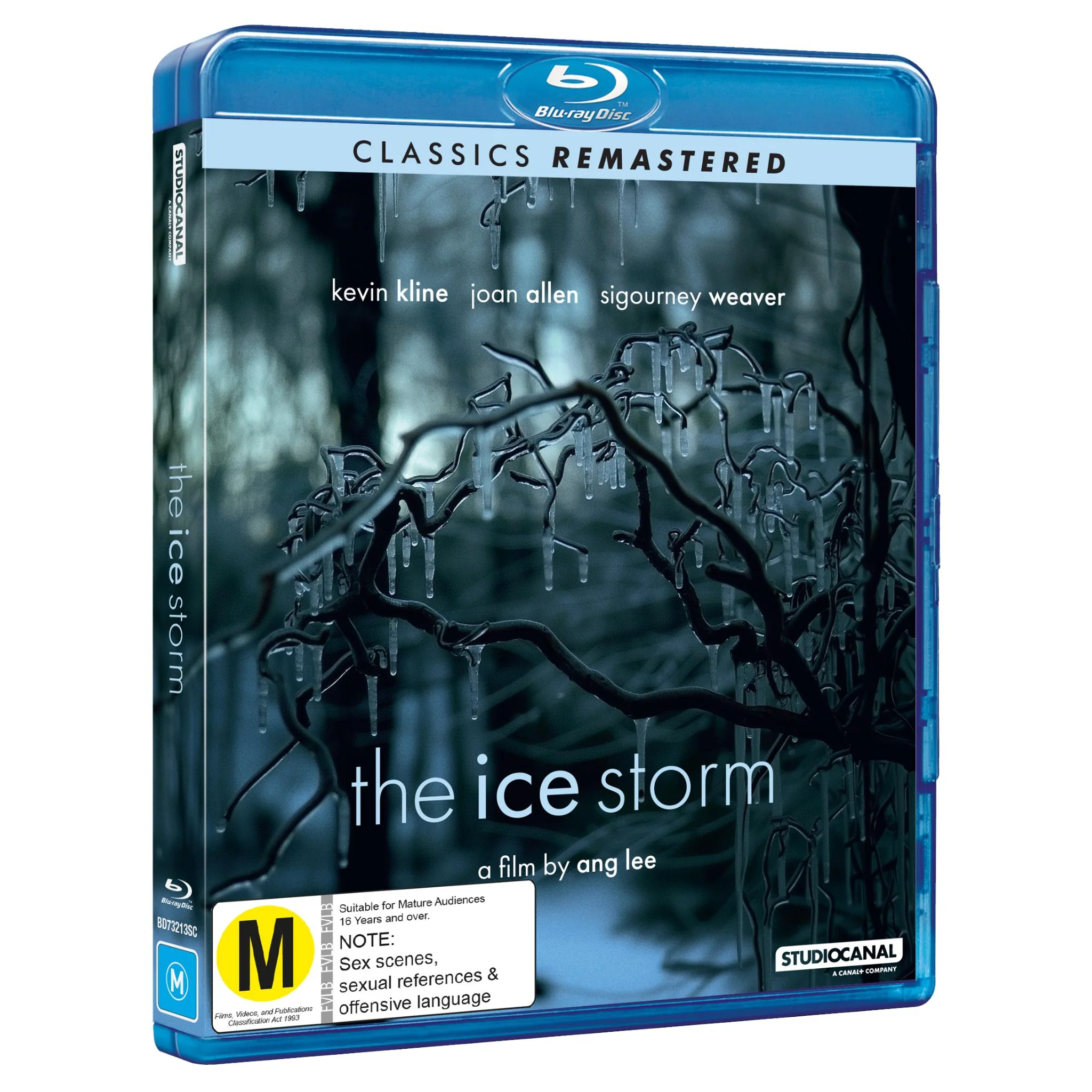 The Ice Storm - Image 2