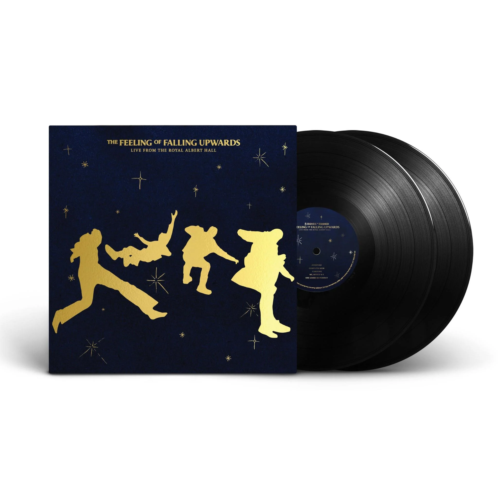 Feeling Of Falling Upwards, The (Live From The Royal Albert Hall) (Vinyl)