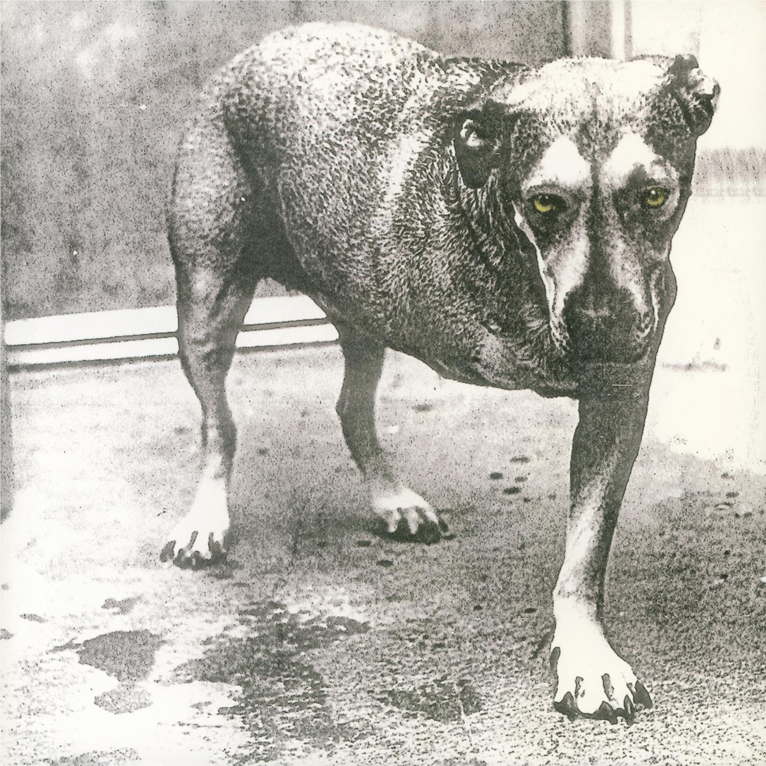 Alice In Chains (30th Anniversary Edition Neon Yellow Vinyl) - Image 2