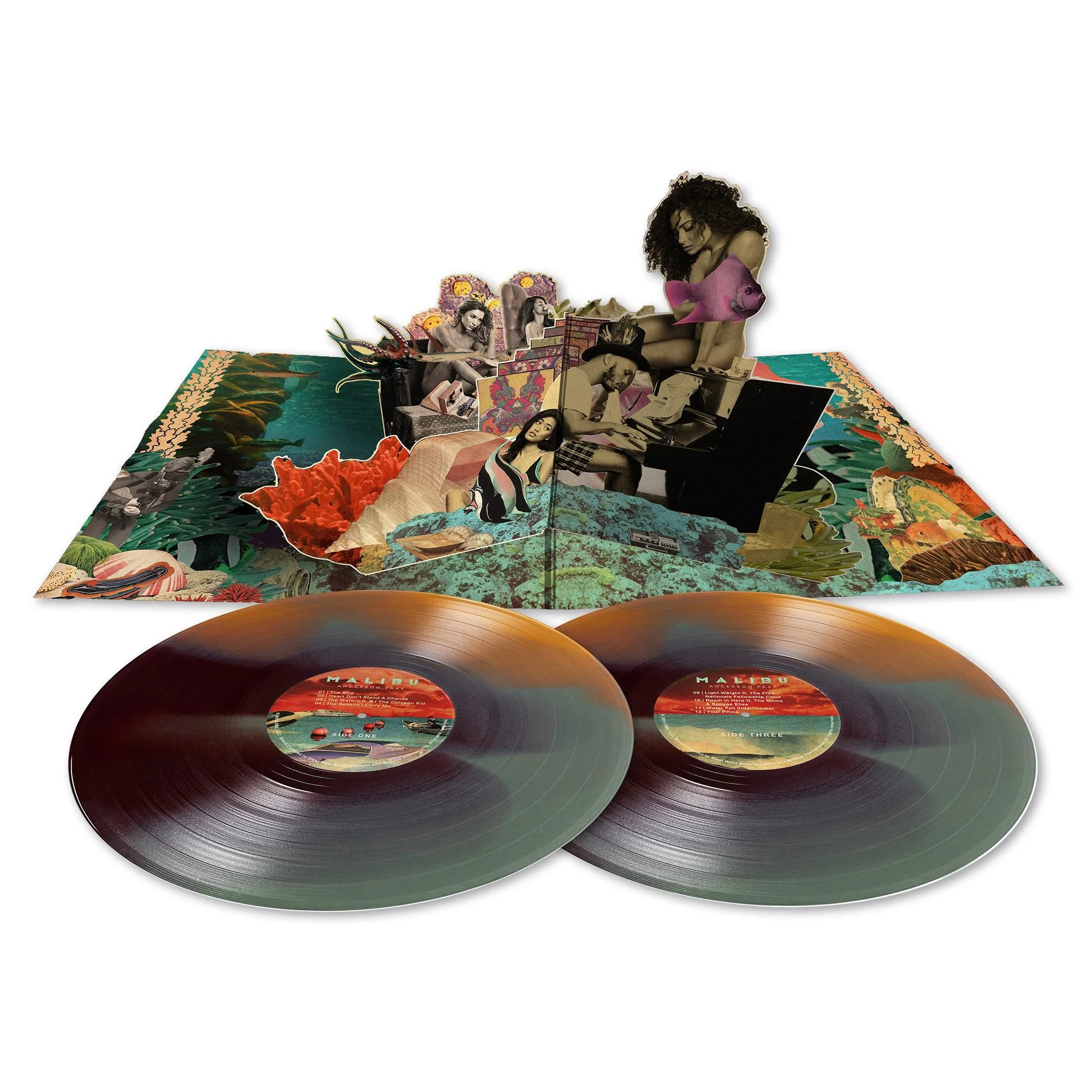 Malibu (10th Anniversary Edition Coloured Vinyl) - Image 2