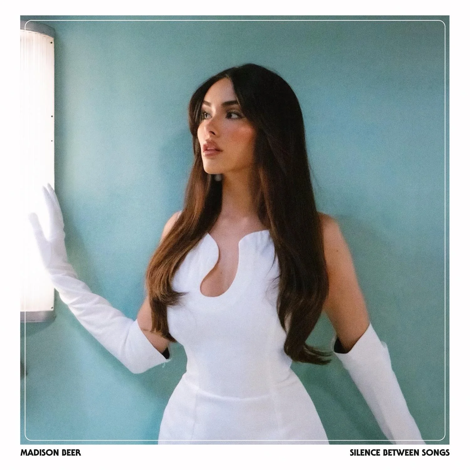 Silence Between Songs (White Vinyl) - Image 2