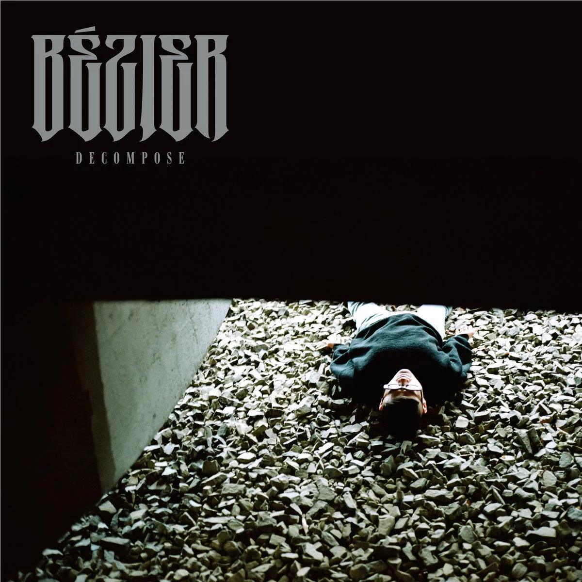 Decompose (Vinyl) - Image 2