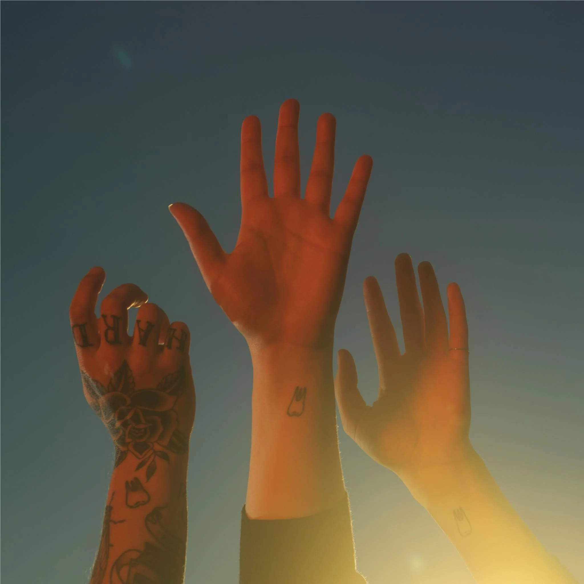 the record (Vinyl) - Image 2