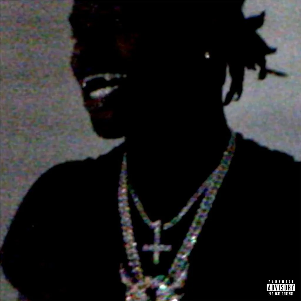 A Great Chaos (Vinyl) - Image 2