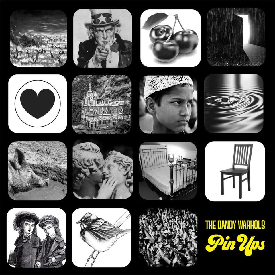 Pin Ups (Vinyl)