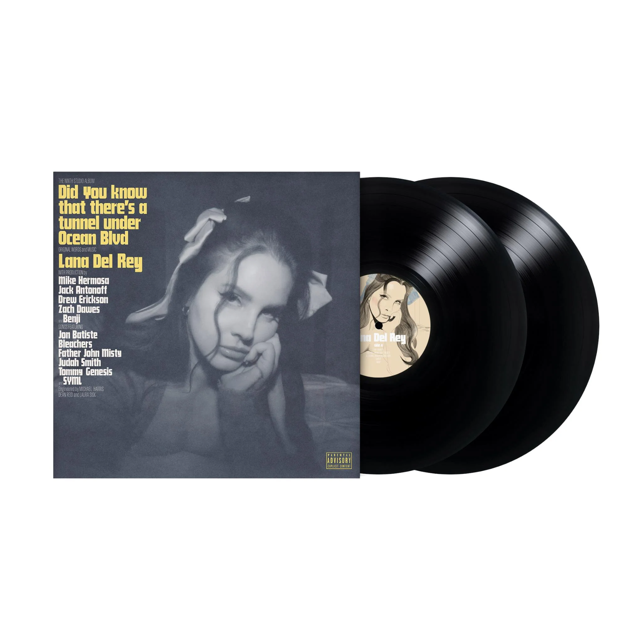 Did You Know That There's A Tunnel Under Ocean Blvd (Vinyl)