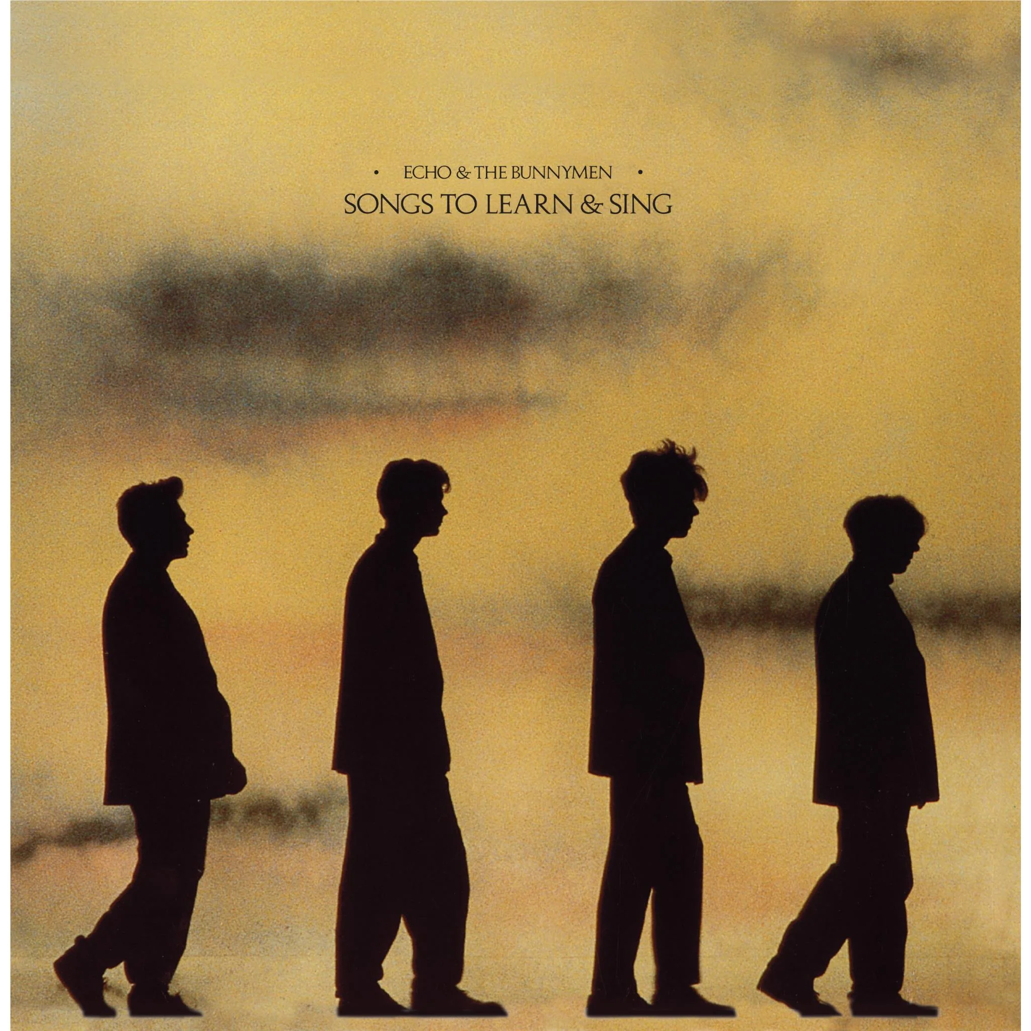Songs To Learn & Sing (Yellow & Black Smoke Vinyl) - Image 2
