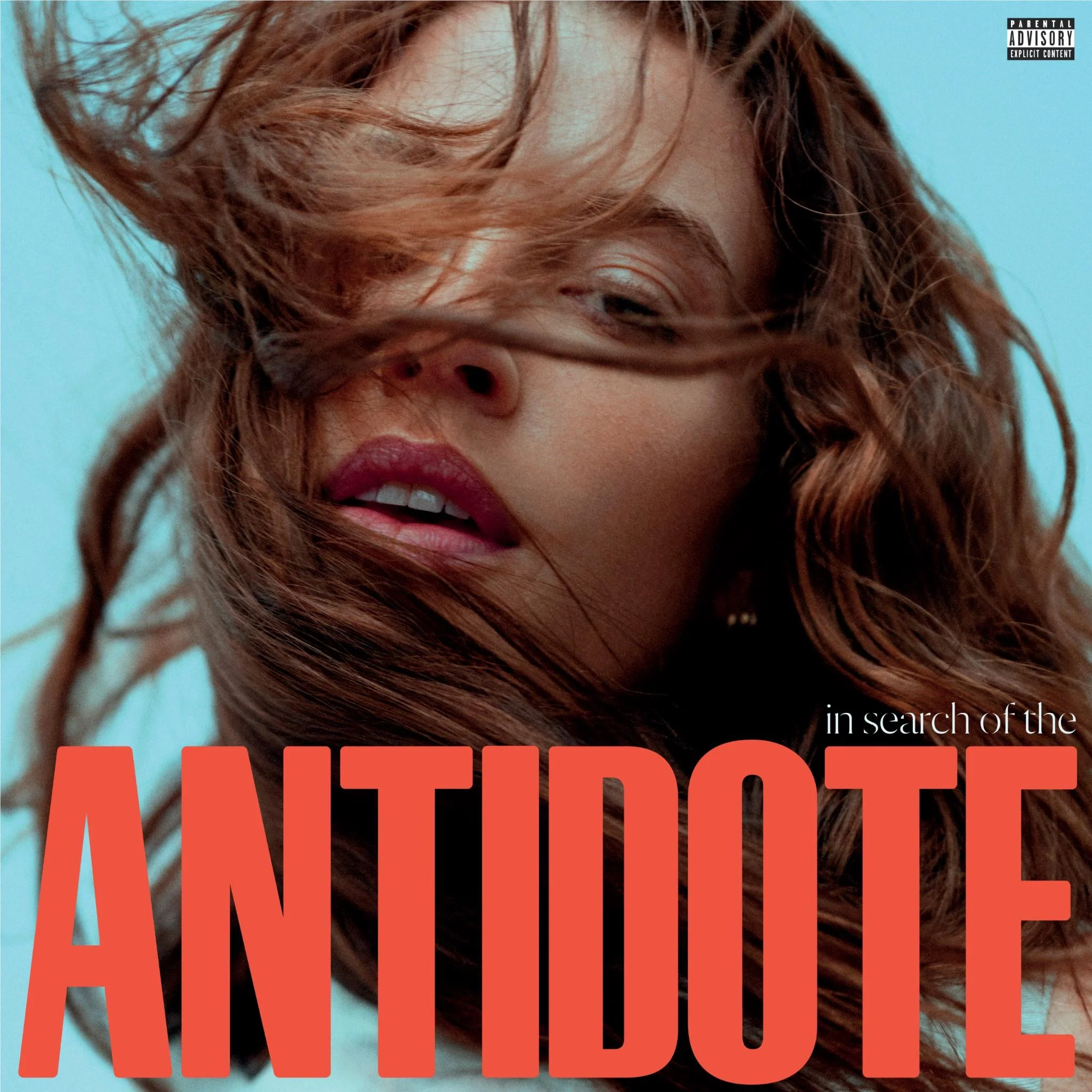 In Search Of The Antidote (Vinyl) - Image 2