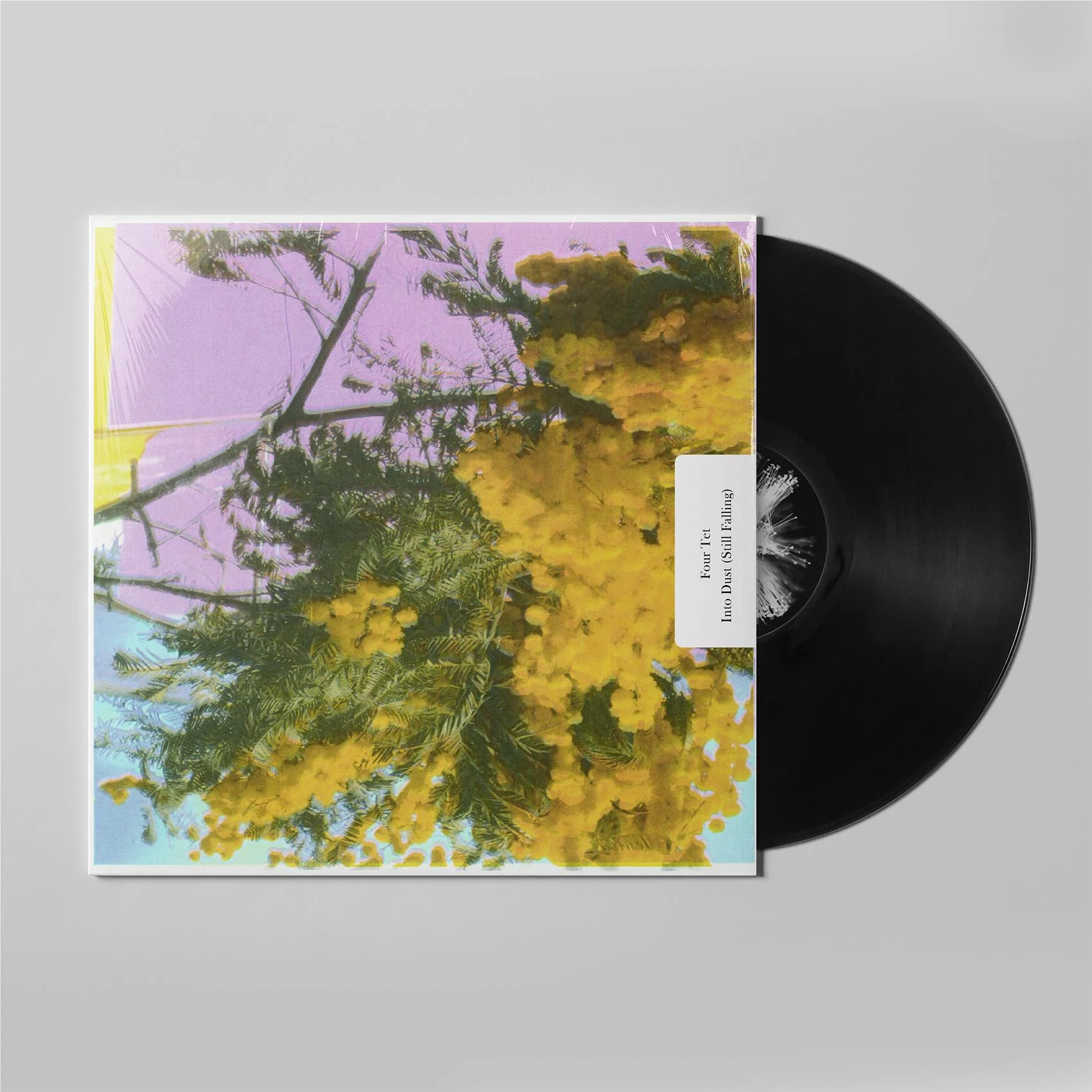 Into Dust (Still Falling) (Vinyl)