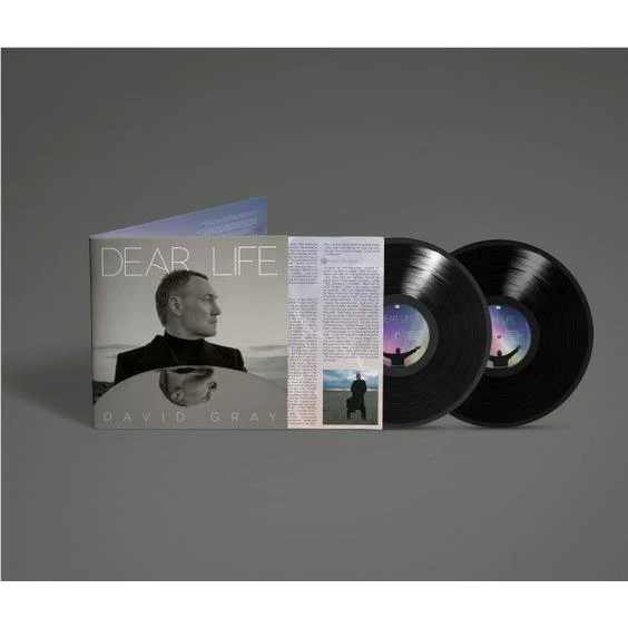 Dear Life (Vinyl)