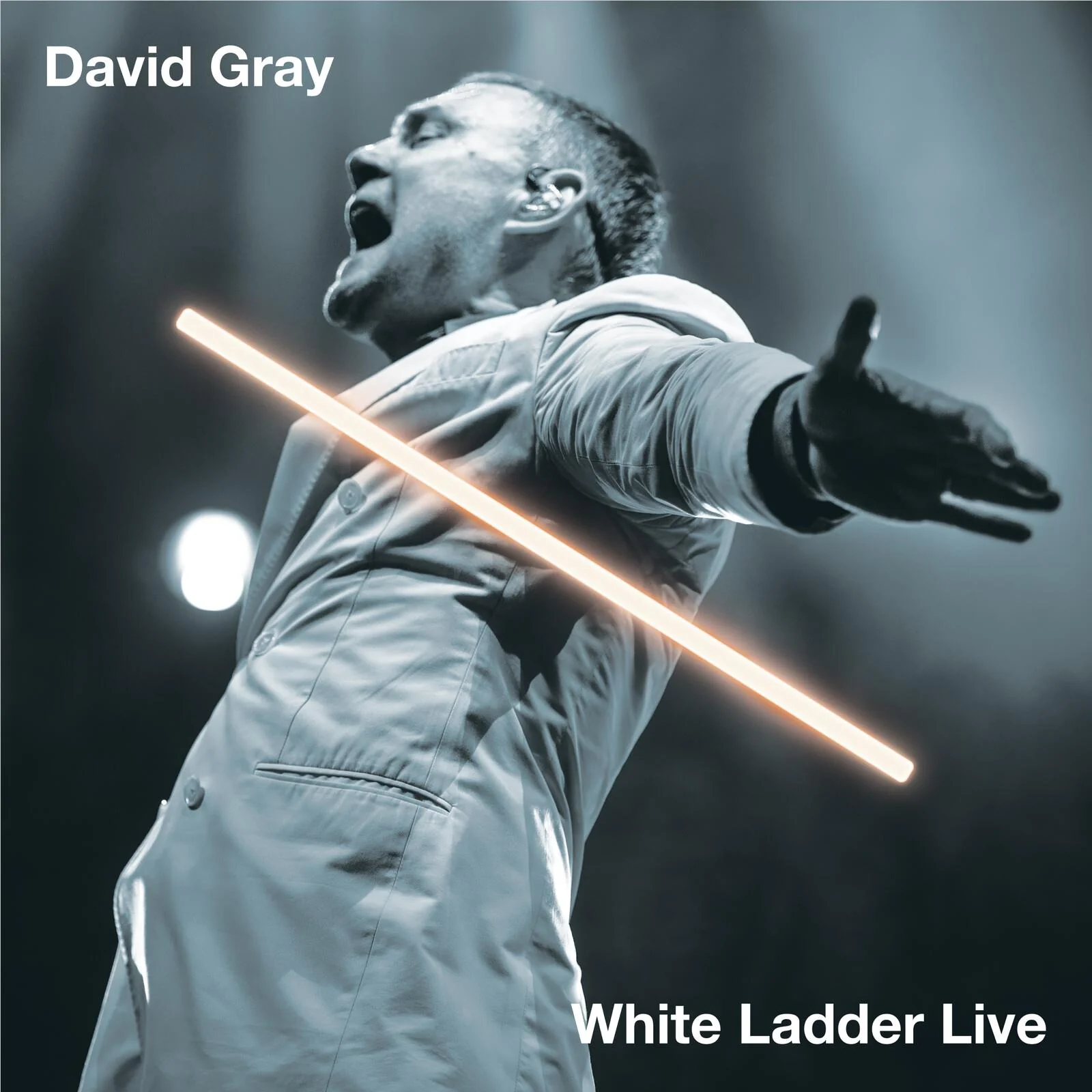 White Ladder Live (Vinyl) - Image 2