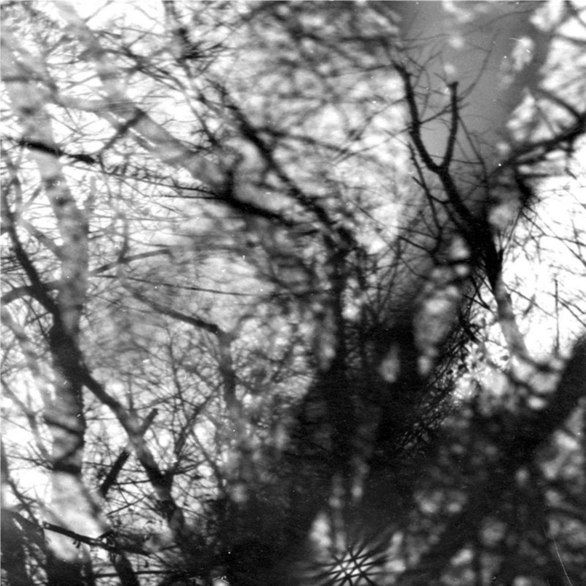 Way Their Crept (Vinyl) - Image 2