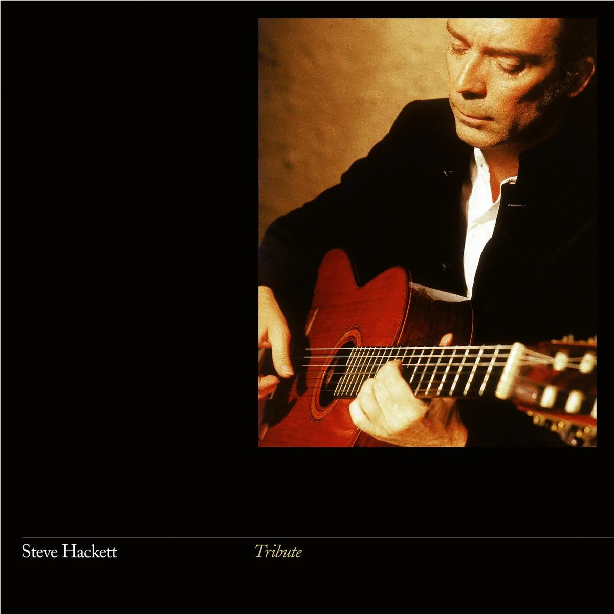 Tribute (Vinyl) - Image 2