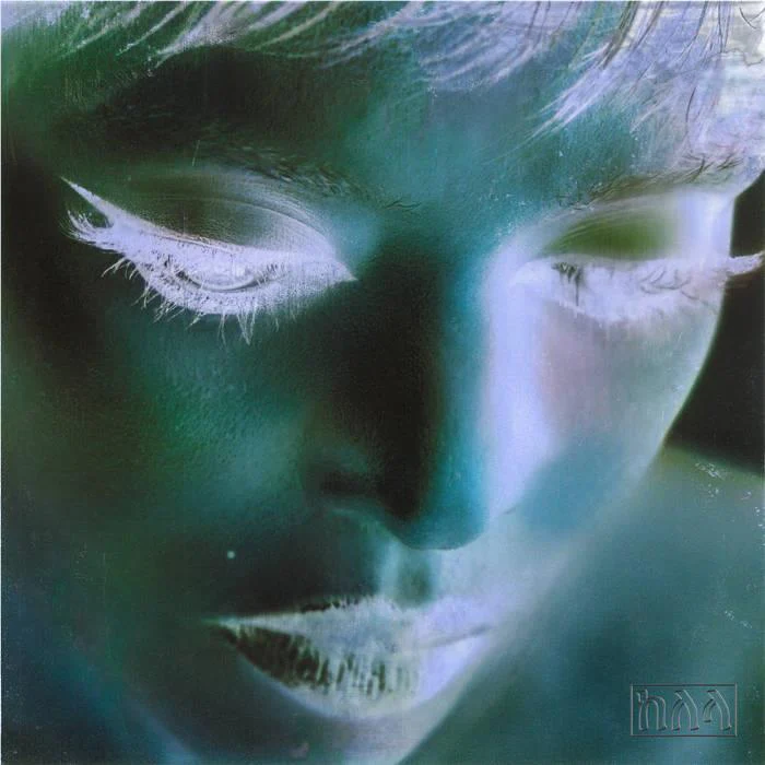 New Avatar (Vinyl) - Image 2