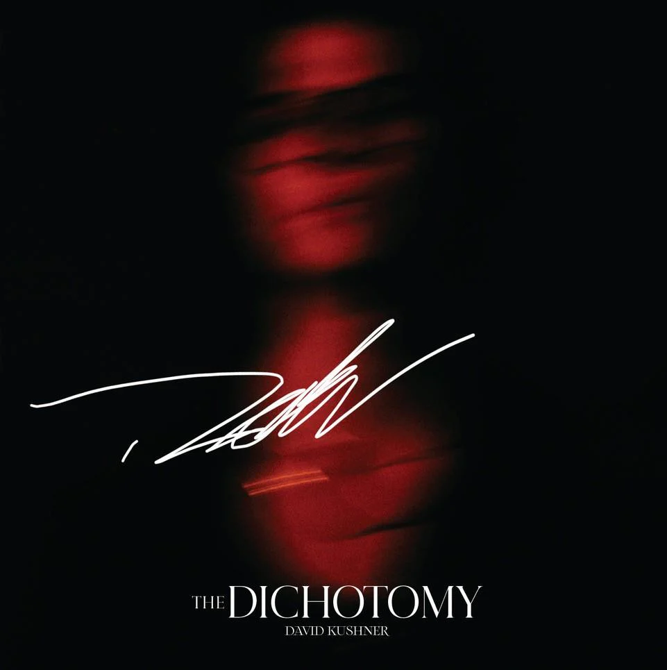 The Dichotomy (Vinyl) - Image 2